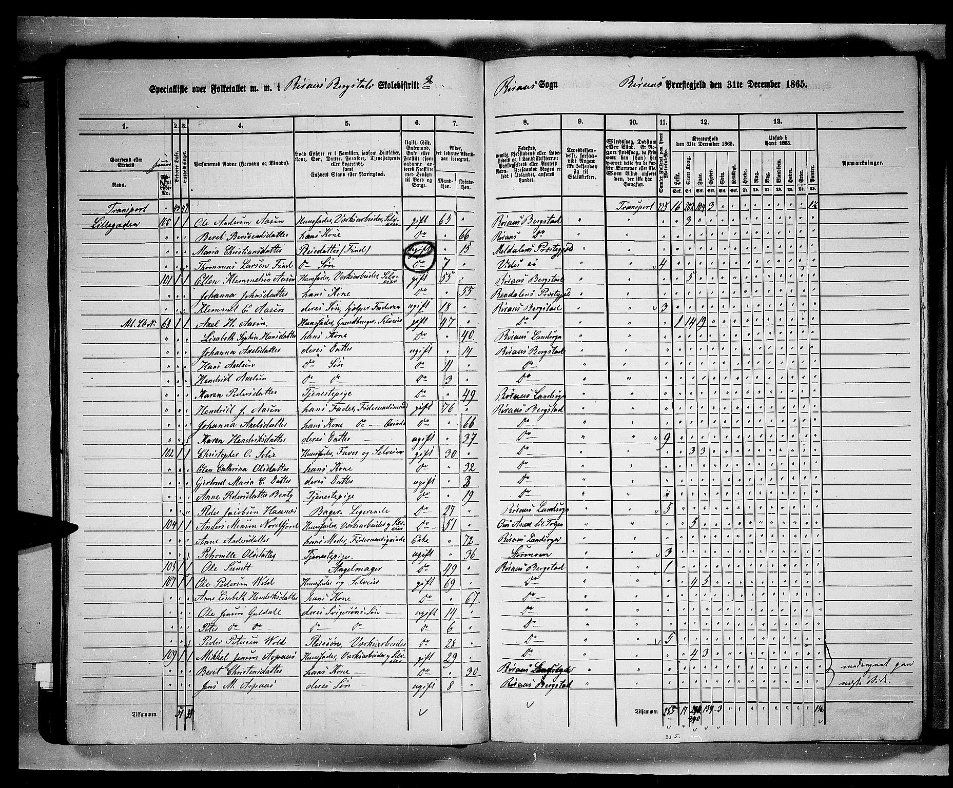 RA, 1865 census for Røros, 1865, p. 40