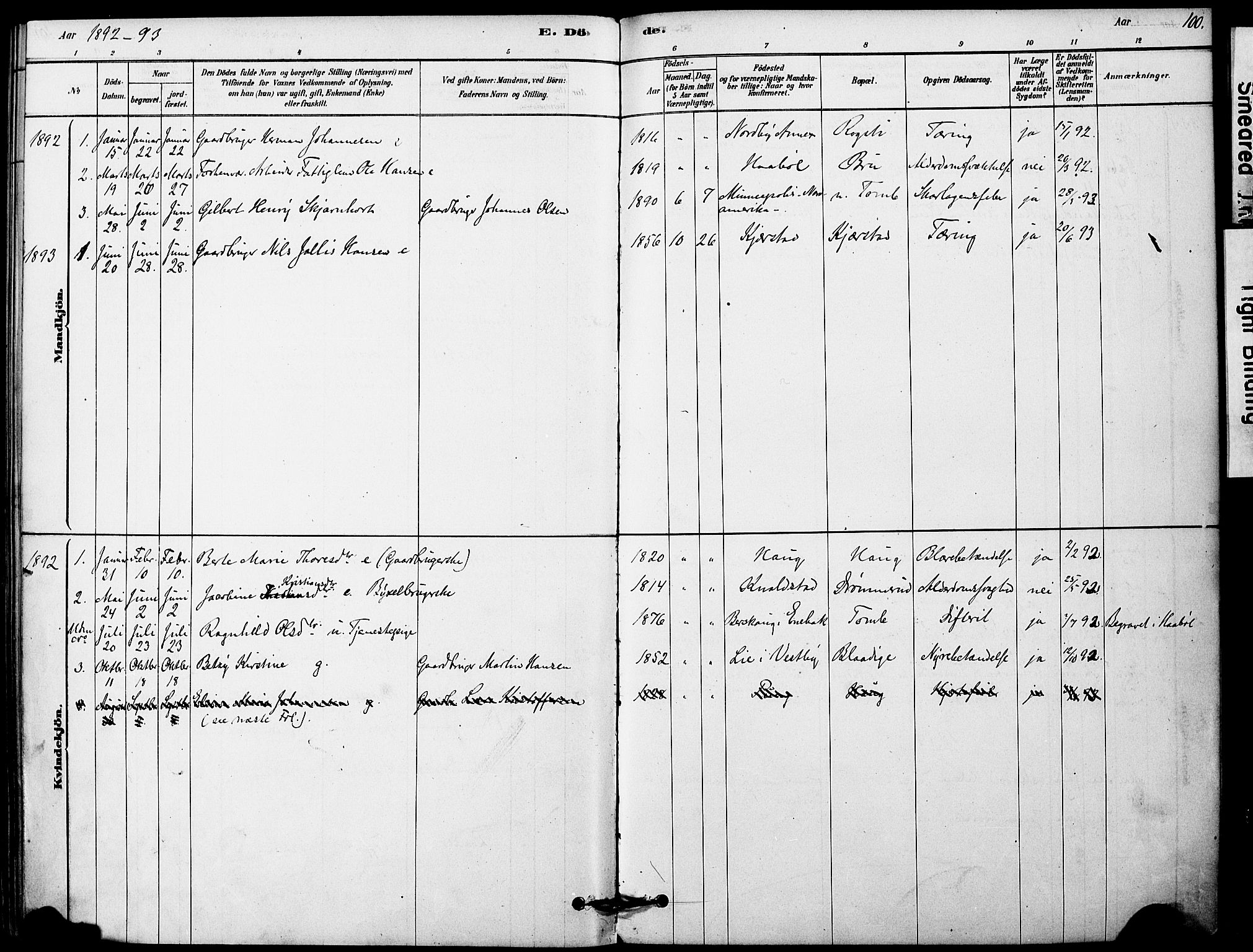 Vestby prestekontor Kirkebøker, SAO/A-10893/F/Fa/L0011: Parish register (official) no. I 11, 1878-1913, p. 100