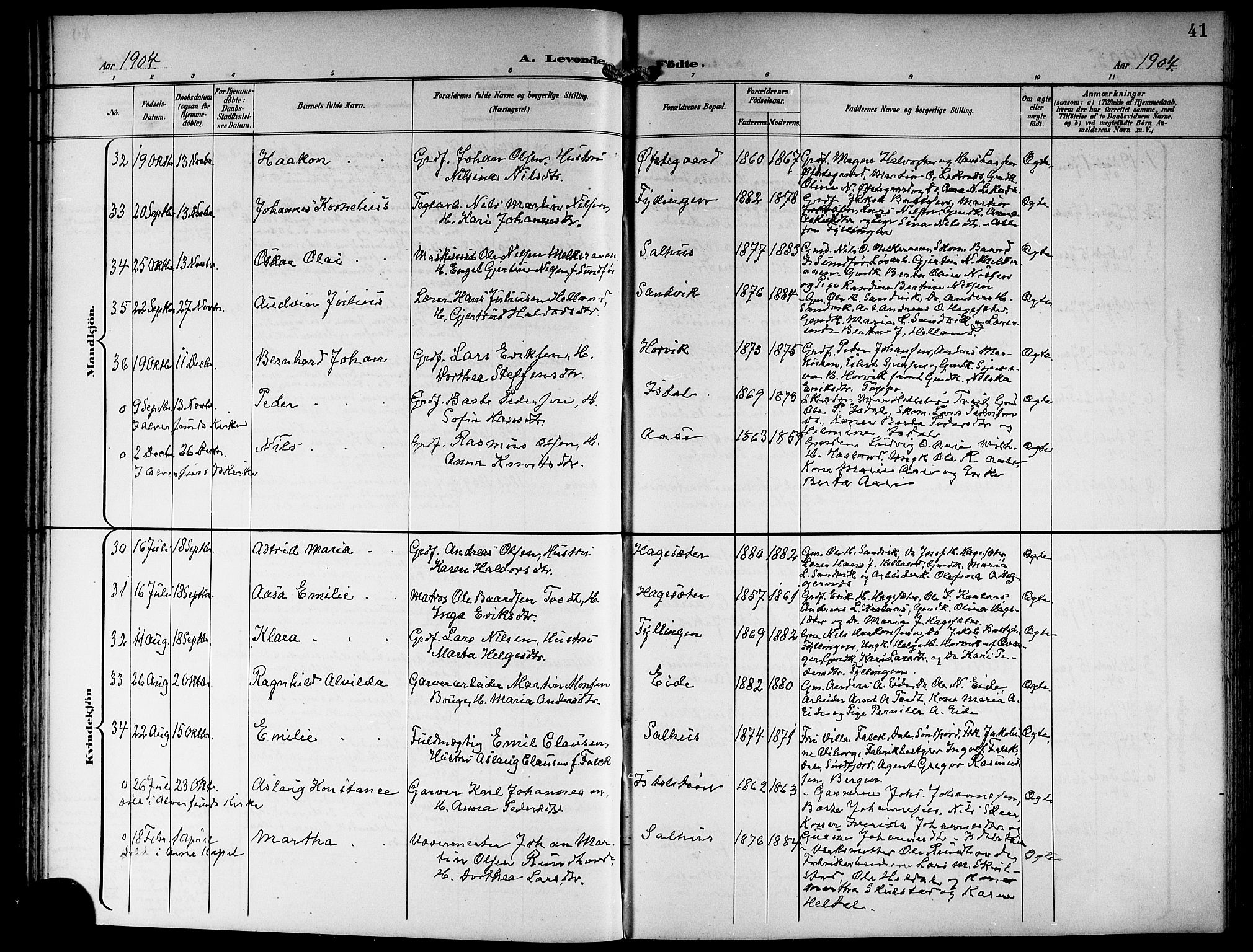 Hamre sokneprestembete, SAB/A-75501/H/Ha/Hab: Parish register (copy) no. B 4, 1898-1919, p. 41