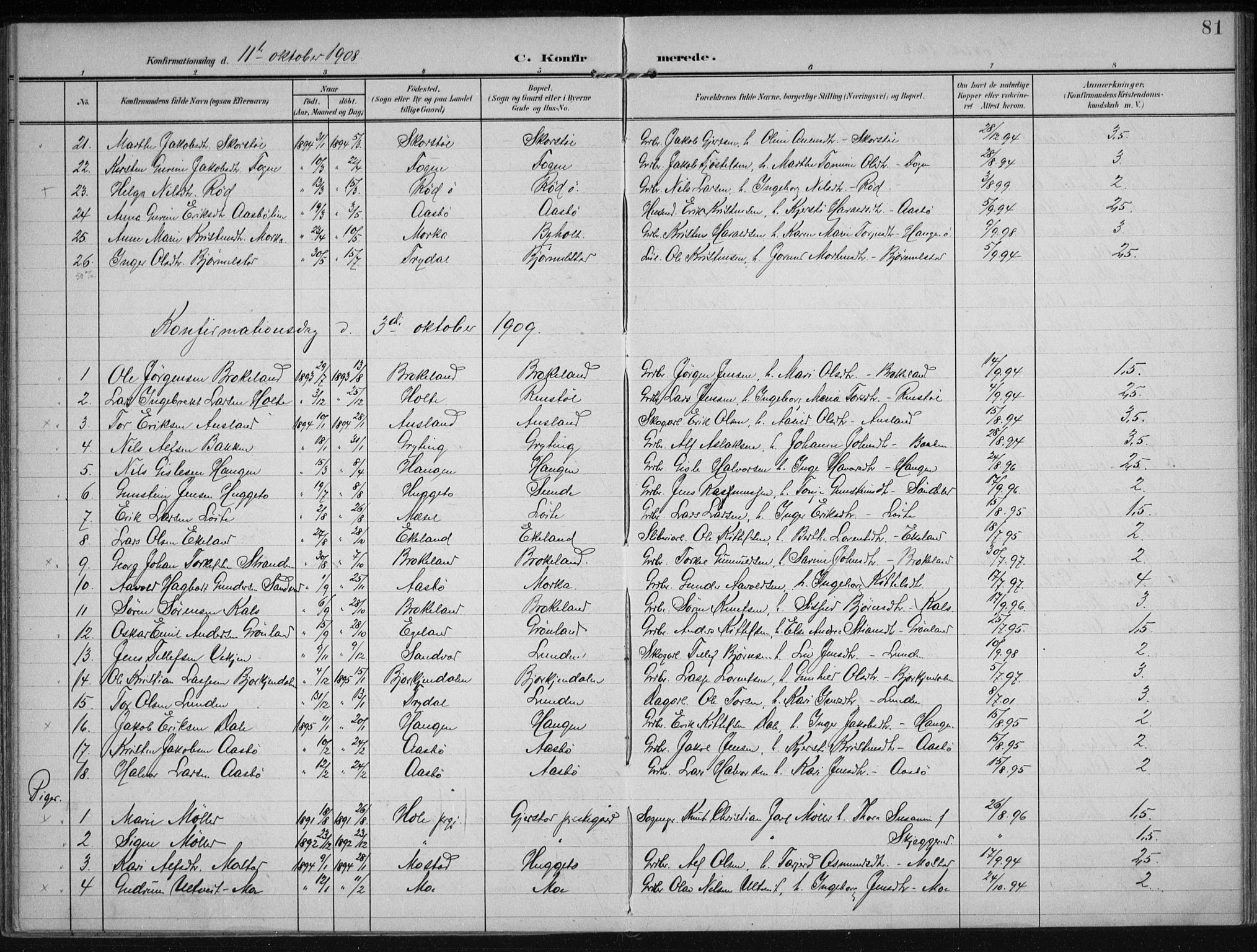 Gjerstad sokneprestkontor, SAK/1111-0014/F/Fa/Faa/L0011: Parish register (official) no. A 11, 1903-1914, p. 81