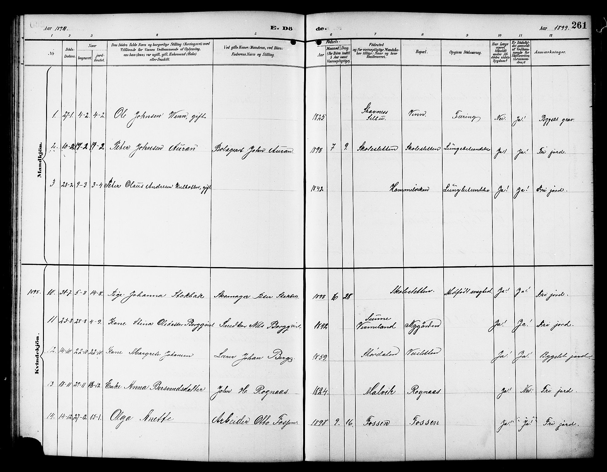 Ministerialprotokoller, klokkerbøker og fødselsregistre - Sør-Trøndelag, SAT/A-1456/617/L0431: Parish register (copy) no. 617C01, 1889-1910, p. 261