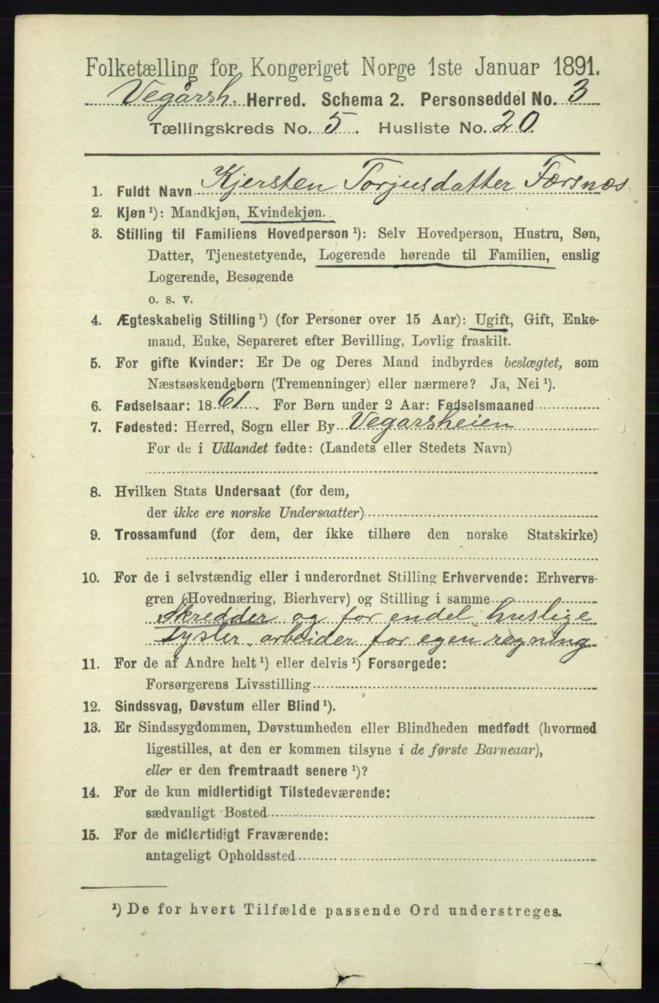 RA, 1891 census for 0912 Vegårshei, 1891, p. 1116