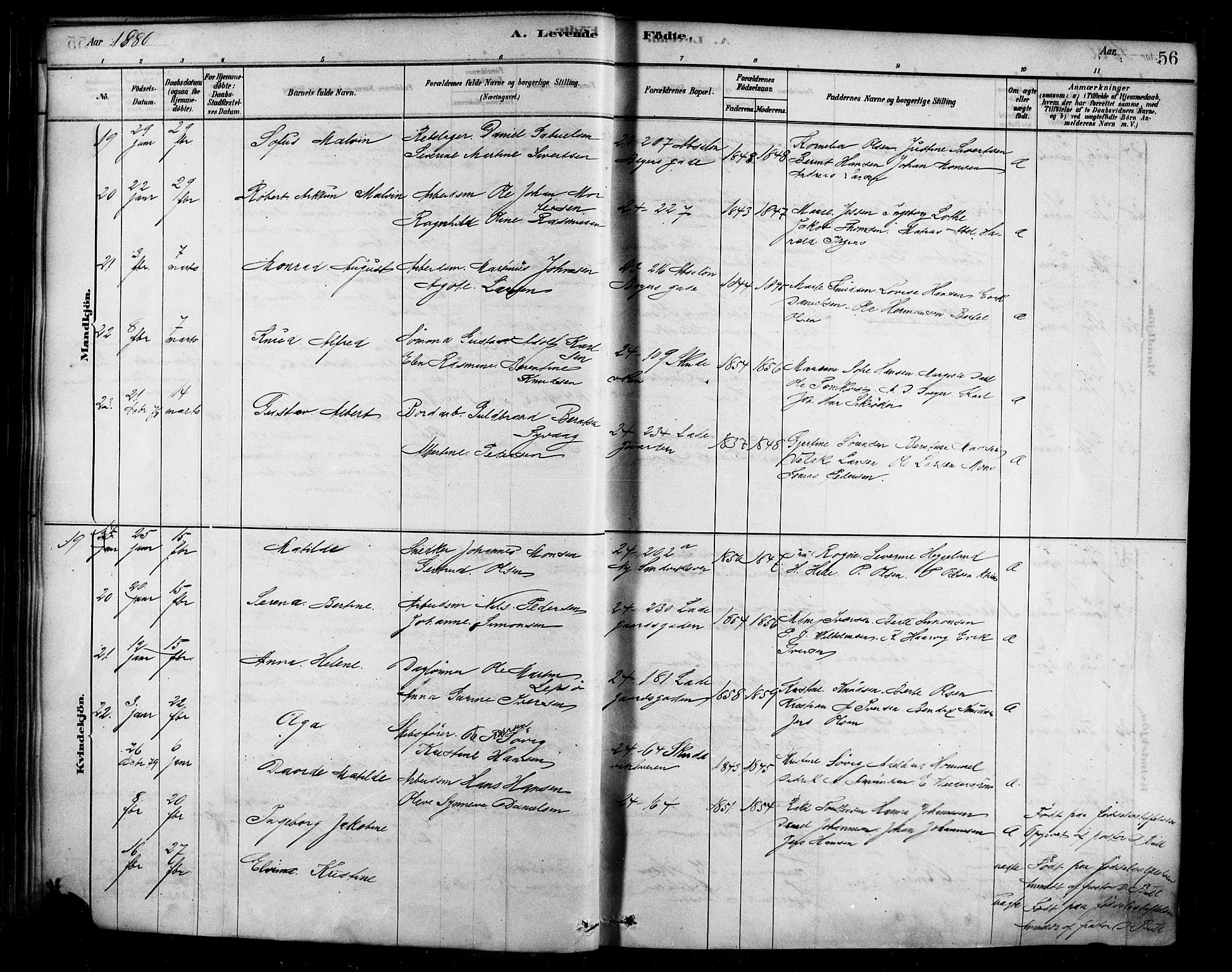 Sandviken Sokneprestembete, AV/SAB-A-77601/H/Ha/L0004: Parish register (official) no. B 1, 1878-1891, p. 56