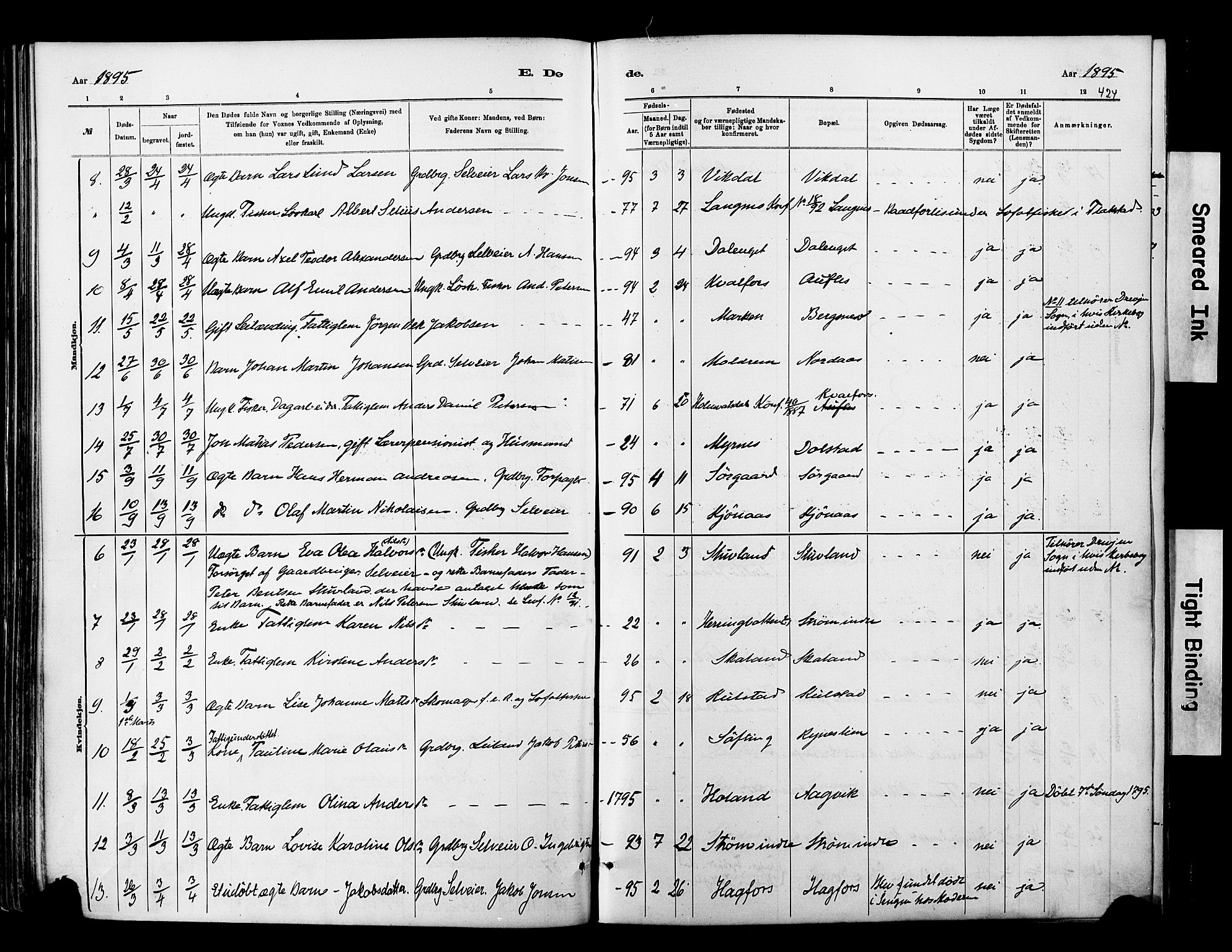 Ministerialprotokoller, klokkerbøker og fødselsregistre - Nordland, SAT/A-1459/820/L0295: Parish register (official) no. 820A16, 1880-1896, p. 424