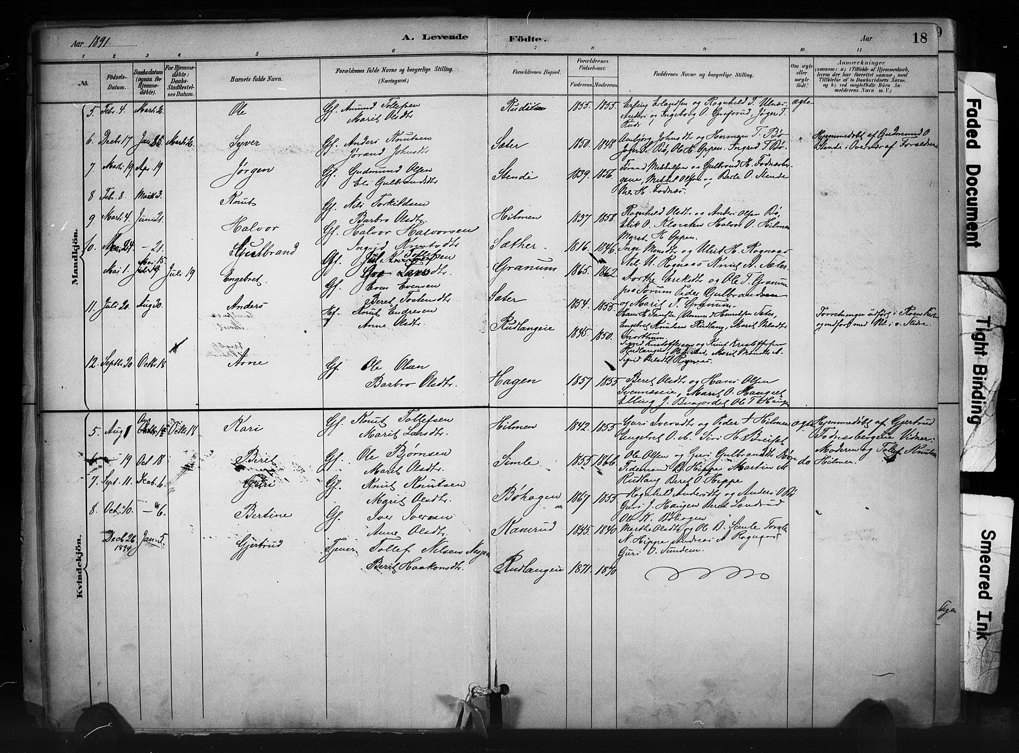Nord-Aurdal prestekontor, SAH/PREST-132/H/Ha/Haa/L0011: Parish register (official) no. 11, 1883-1896, p. 18