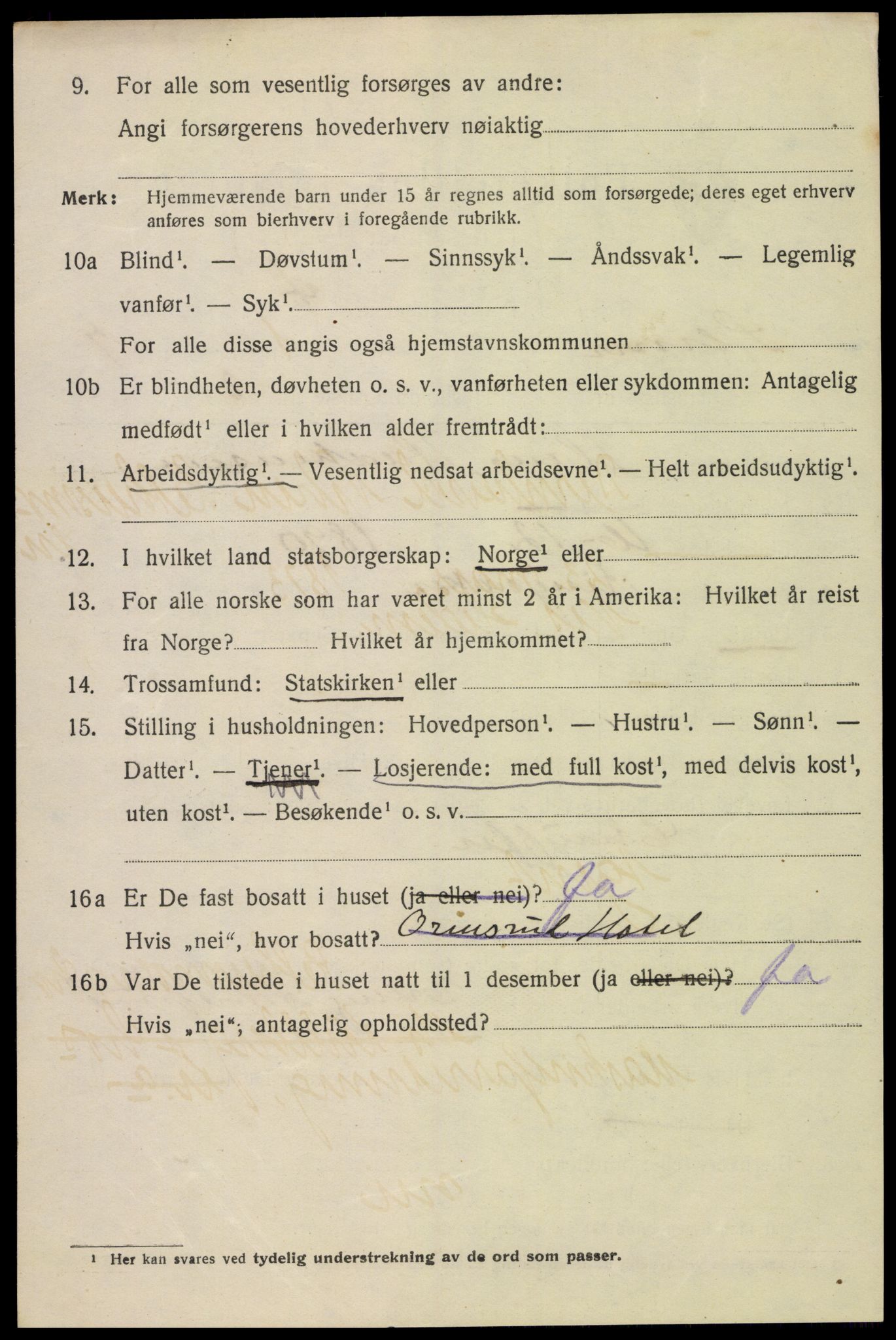 SAH, 1920 census for Lillehammer, 1920, p. 10069