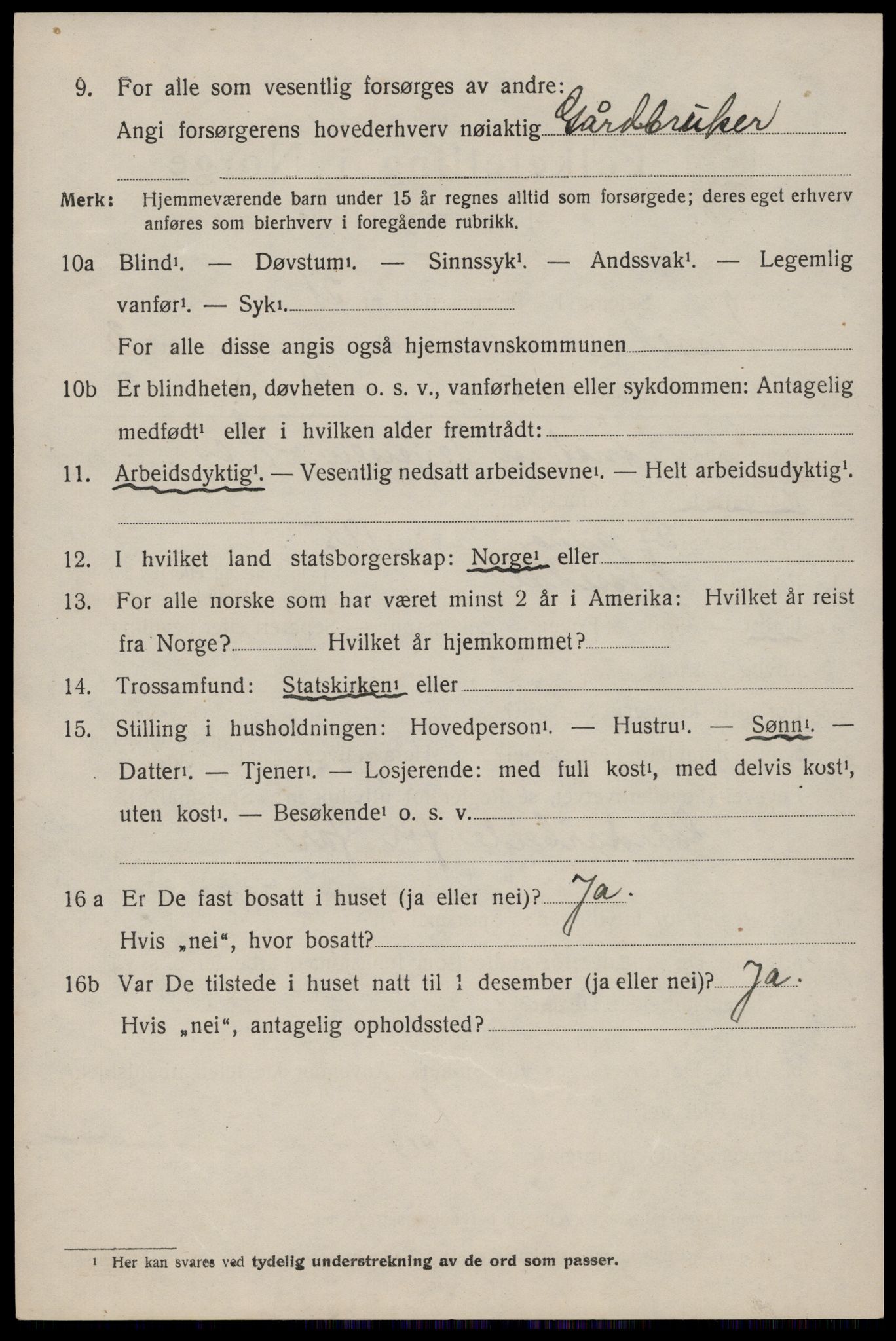 SAKO, 1920 census for Nissedal, 1920, p. 1538