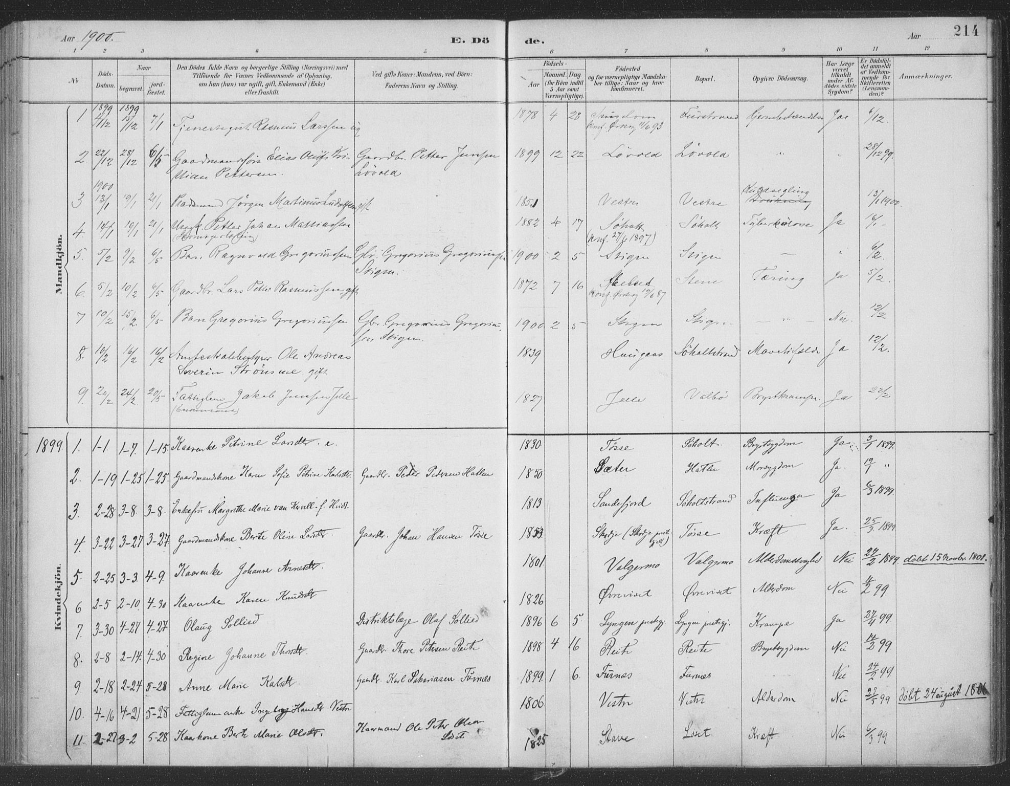 Ministerialprotokoller, klokkerbøker og fødselsregistre - Møre og Romsdal, AV/SAT-A-1454/522/L0316: Parish register (official) no. 522A11, 1890-1911, p. 214