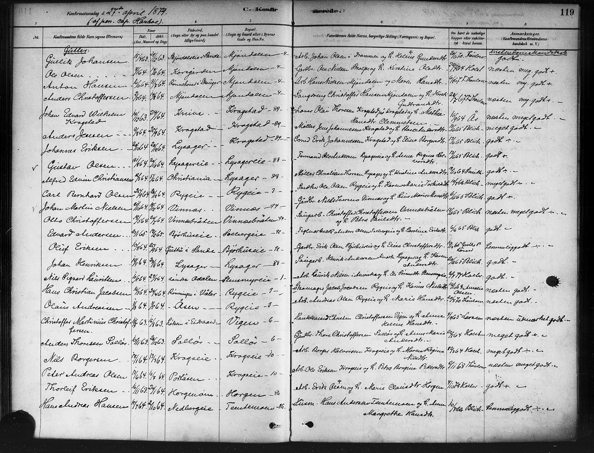 Nedre Eiker kirkebøker, SAKO/A-612/F/Fa/L0002: Parish register (official) no. 2, 1878-1885, p. 119