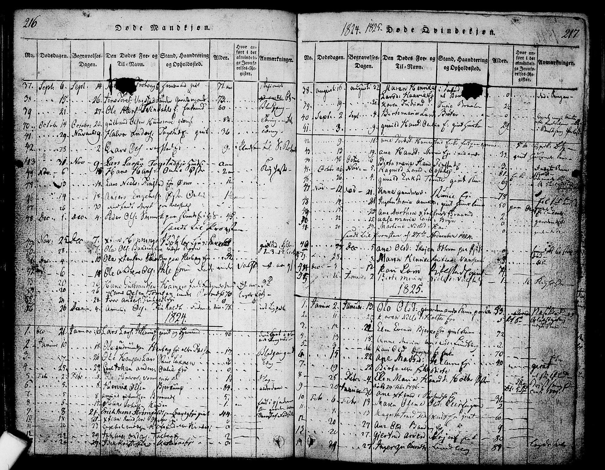 Nes prestekontor Kirkebøker, SAO/A-10410/F/Fa/L0005: Parish register (official) no. I 5, 1815-1835, p. 216-217