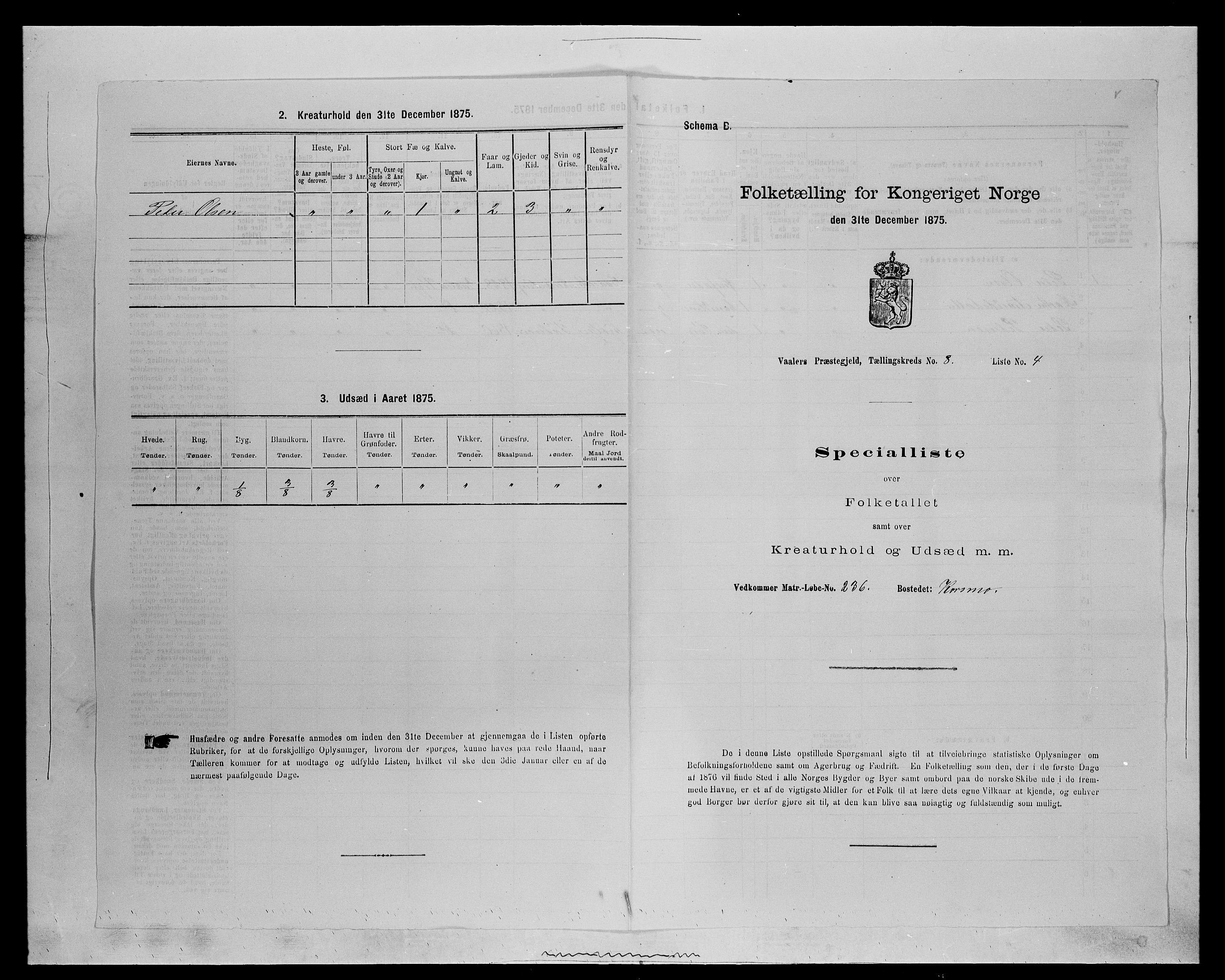 SAH, 1875 census for 0426P Våler parish (Hedmark), 1875, p. 1030