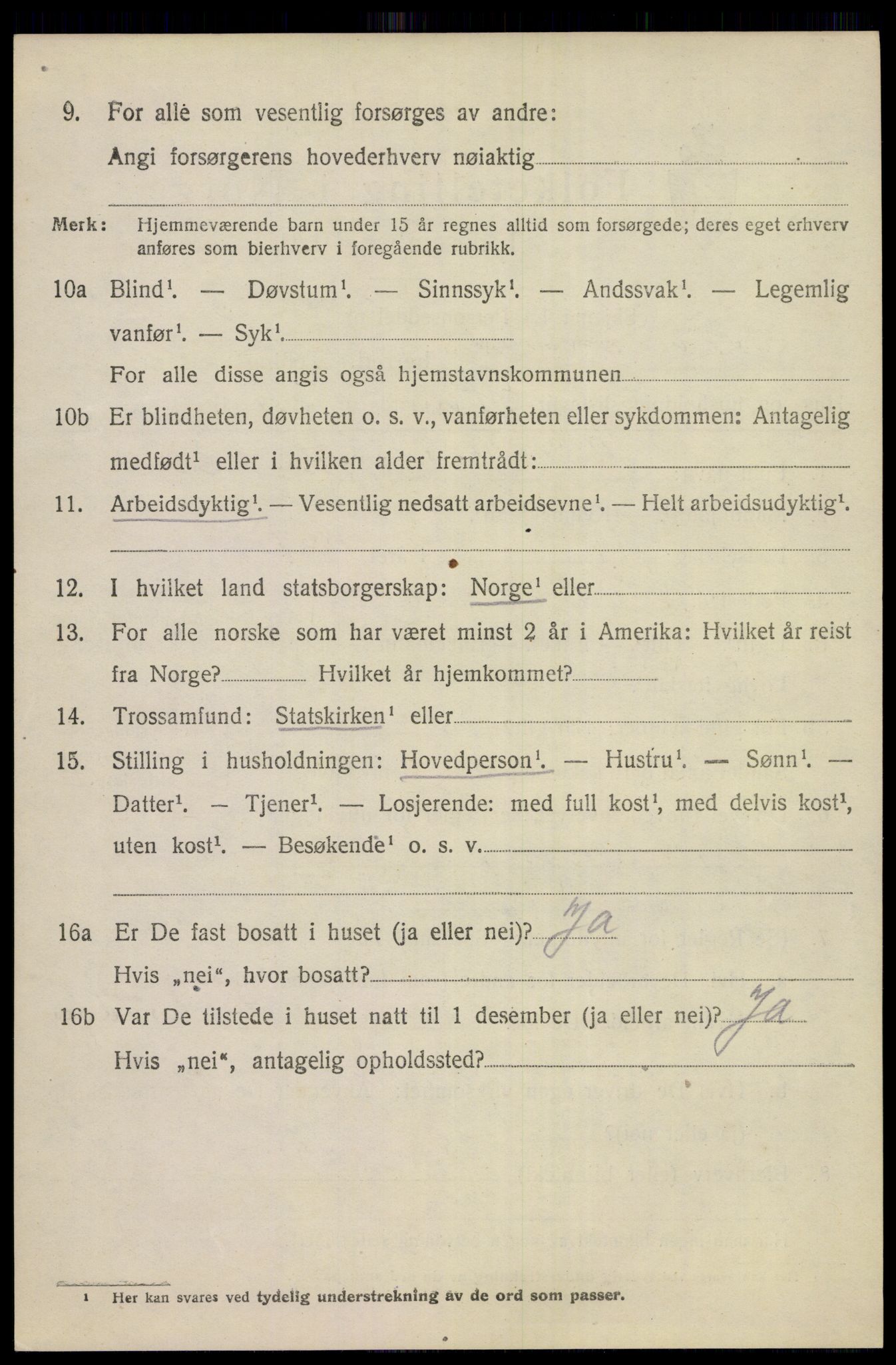 SAKO, 1920 census for Hol (Buskerud), 1920, p. 2416