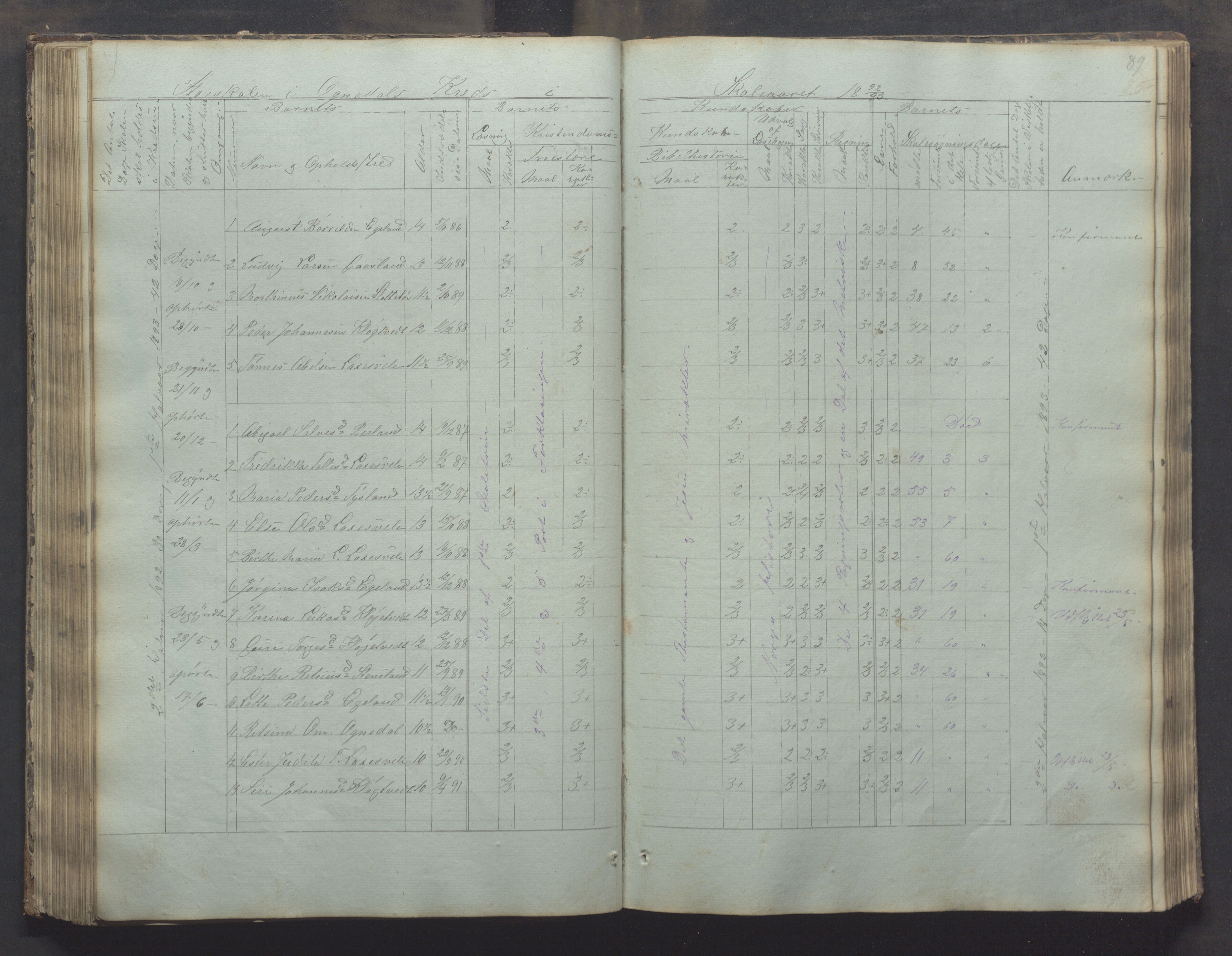 Bjerkreim kommune - Skulestyret, IKAR/K-101539/H/L0002: Skolejournal for vestre skuledistrikt, 1858-1894, p. 88b-89a