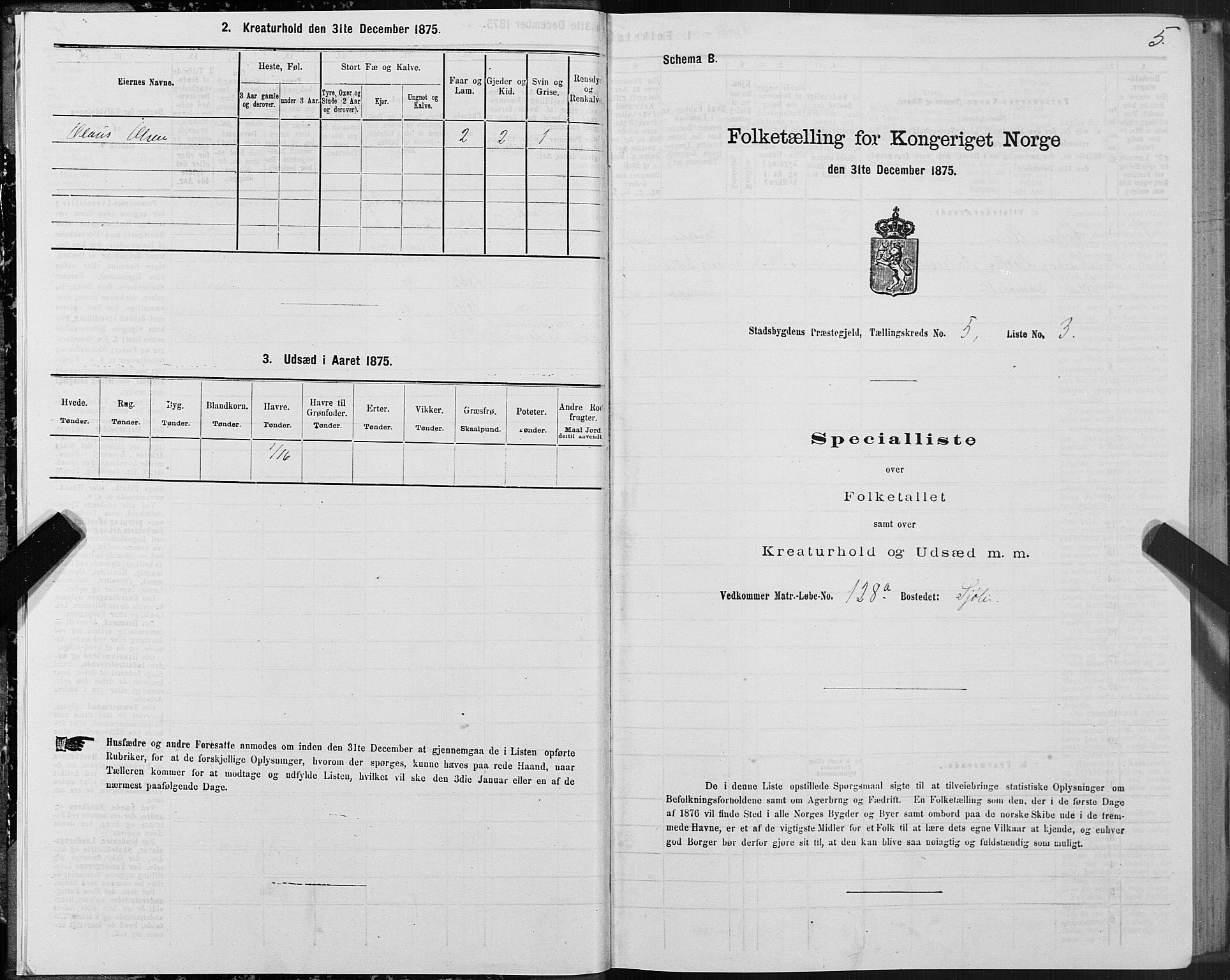 SAT, 1875 census for 1625P Stadsbygd, 1875, p. 3005