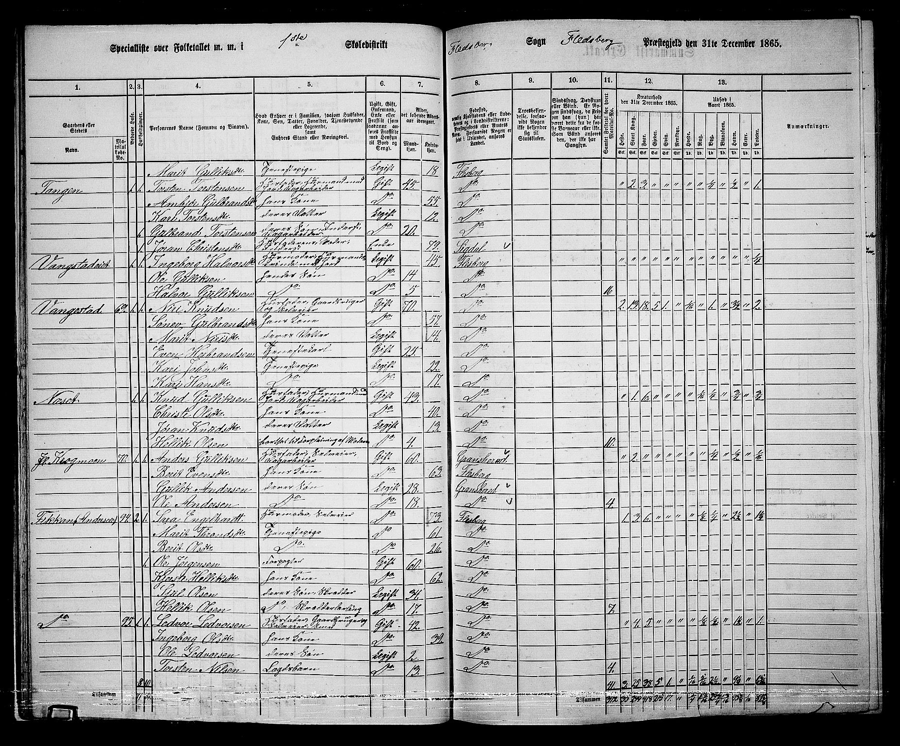 RA, 1865 census for Flesberg, 1865, p. 24