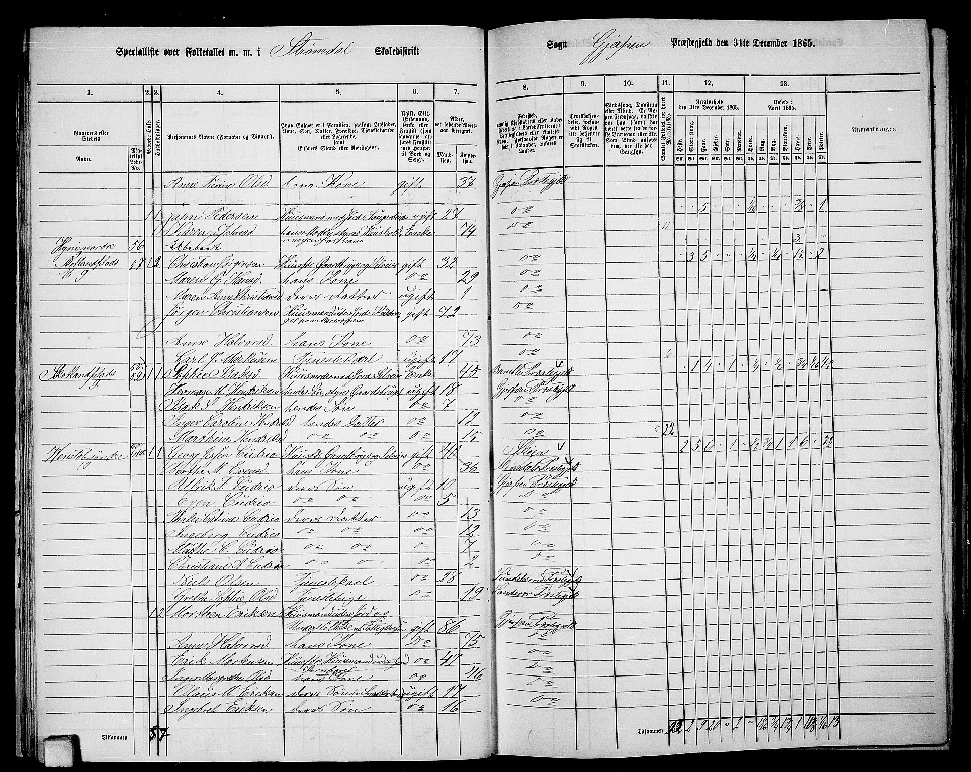 RA, 1865 census for Gjerpen, 1865, p. 34