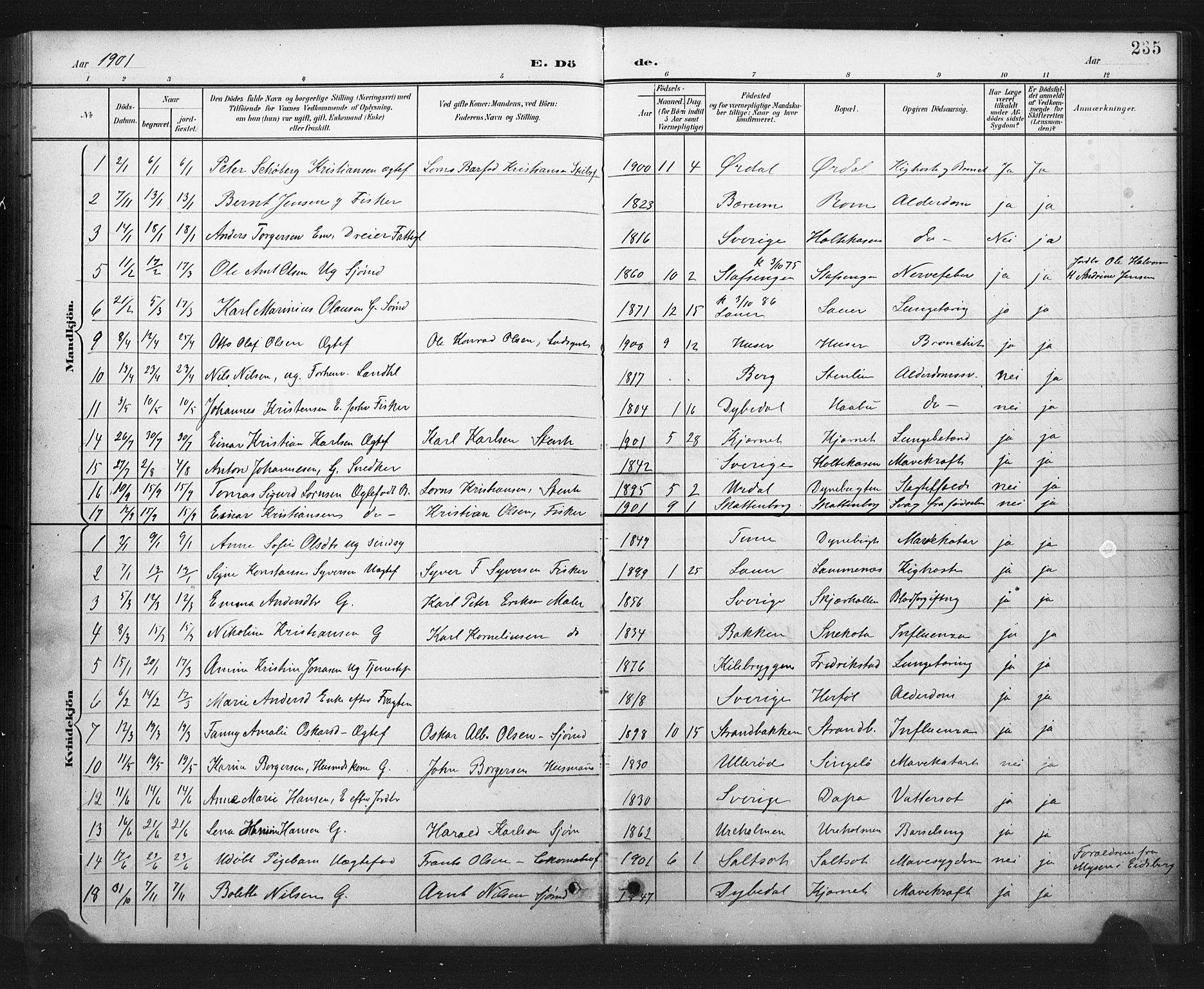 Hvaler prestekontor Kirkebøker, AV/SAO-A-2001/G/Ga/L0001: Parish register (copy) no. I 1, 1901-1930, p. 235