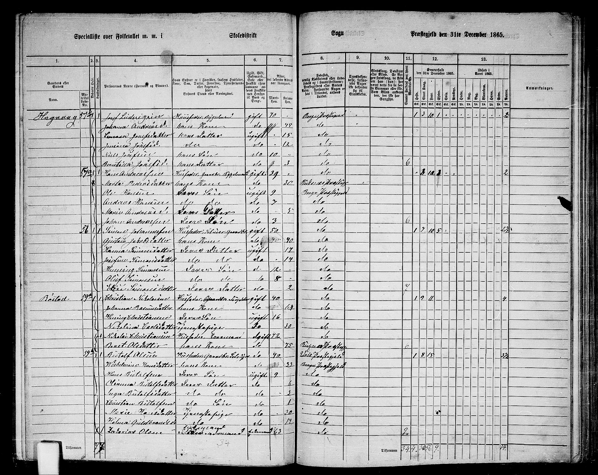 RA, 1865 census for Borge, 1865, p. 24