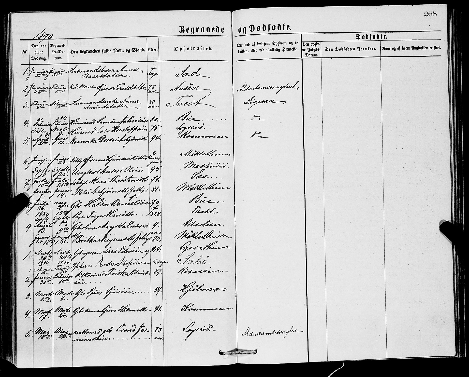 Ullensvang sokneprestembete, SAB/A-78701/H/Hab: Parish register (copy) no. C 2, 1871-1899, p. 268