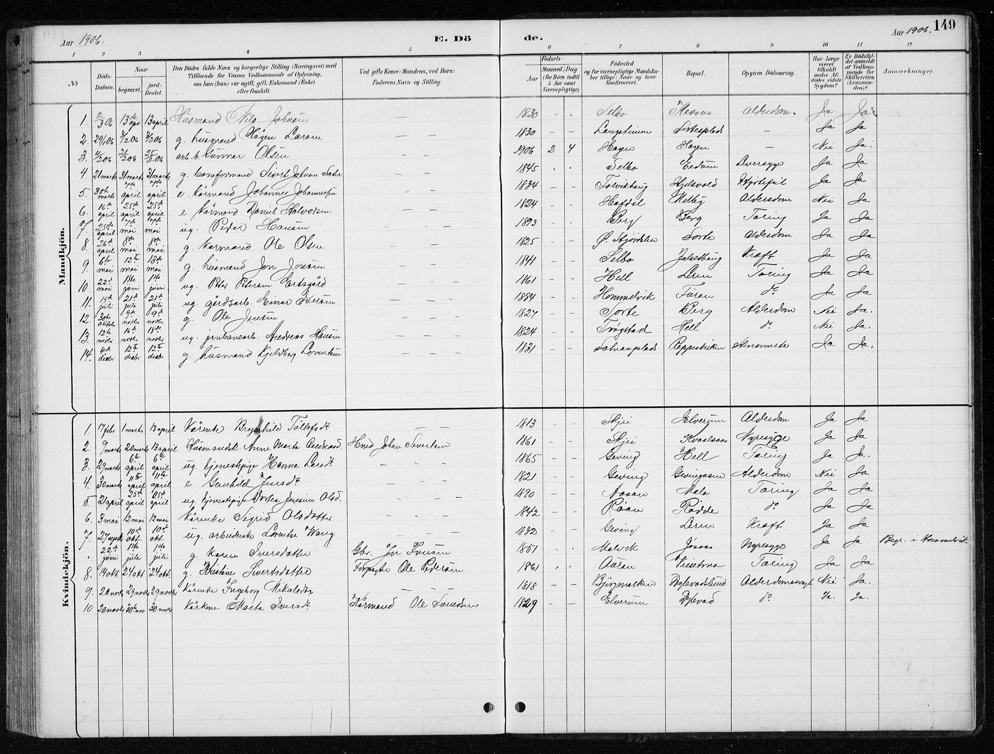 Ministerialprotokoller, klokkerbøker og fødselsregistre - Nord-Trøndelag, AV/SAT-A-1458/710/L0096: Parish register (copy) no. 710C01, 1892-1925, p. 149