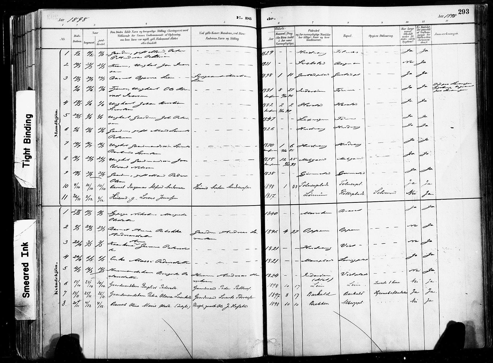 Ministerialprotokoller, klokkerbøker og fødselsregistre - Nord-Trøndelag, AV/SAT-A-1458/735/L0351: Parish register (official) no. 735A10, 1884-1908, p. 293