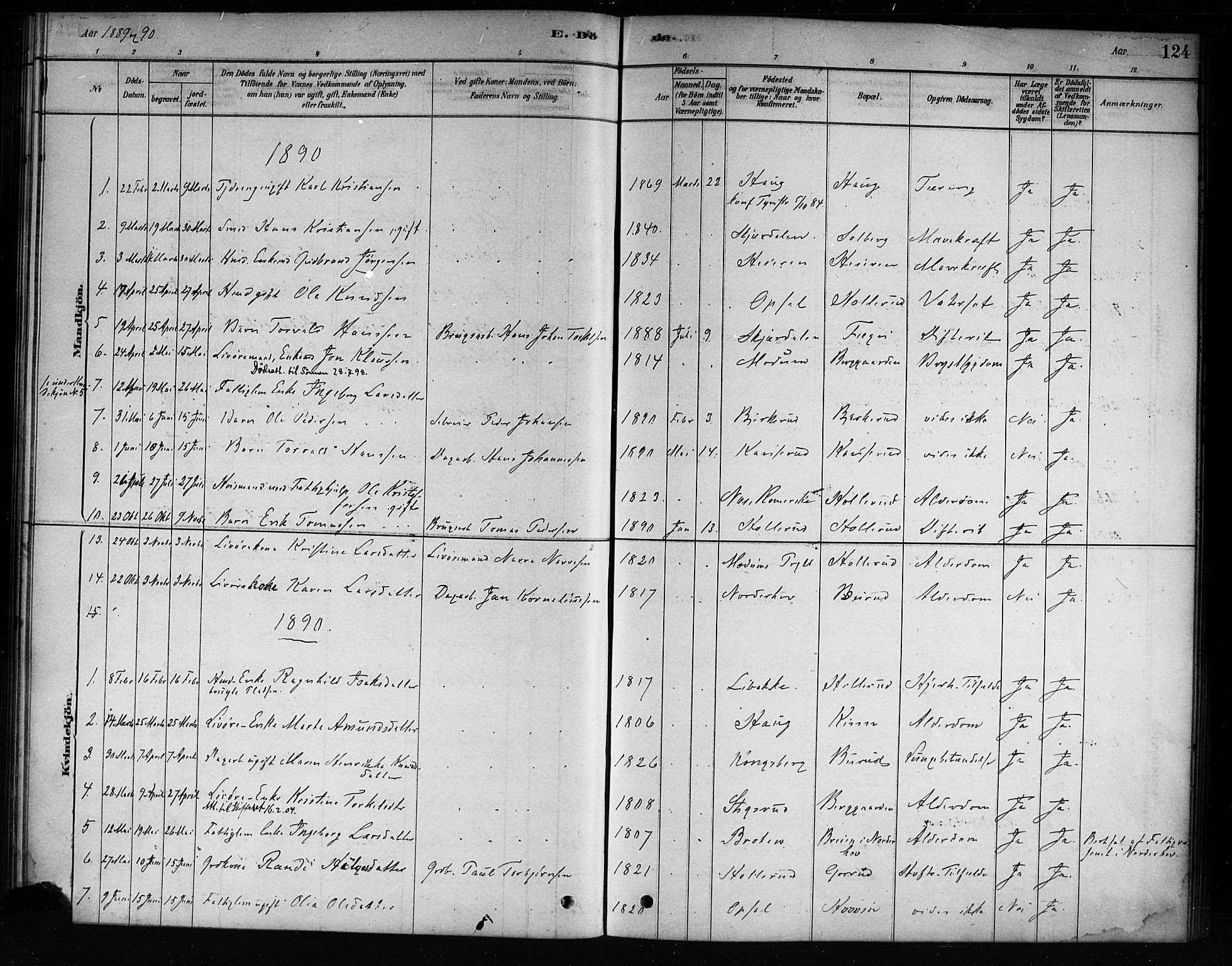 Hole kirkebøker, AV/SAKO-A-228/F/Fb/L0001: Parish register (official) no. II 1, 1878-1891, p. 124