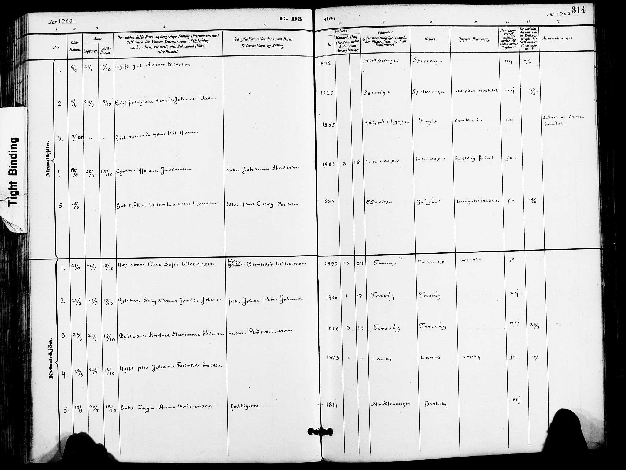 Karlsøy sokneprestembete, AV/SATØ-S-1299/H/Ha/Haa/L0007kirke: Parish register (official) no. 7, 1891-1902, p. 314