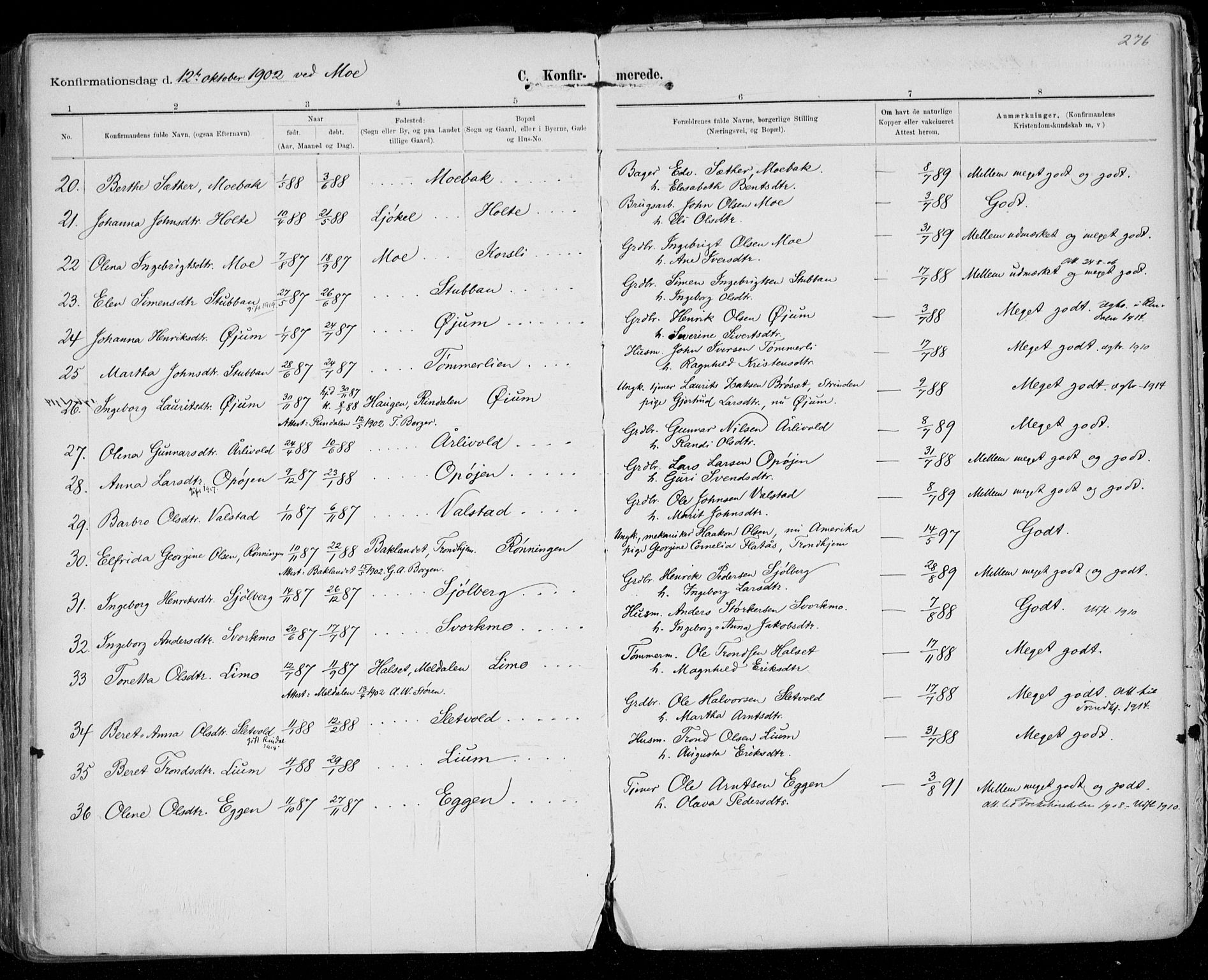 Ministerialprotokoller, klokkerbøker og fødselsregistre - Sør-Trøndelag, SAT/A-1456/668/L0811: Parish register (official) no. 668A11, 1894-1913, p. 276
