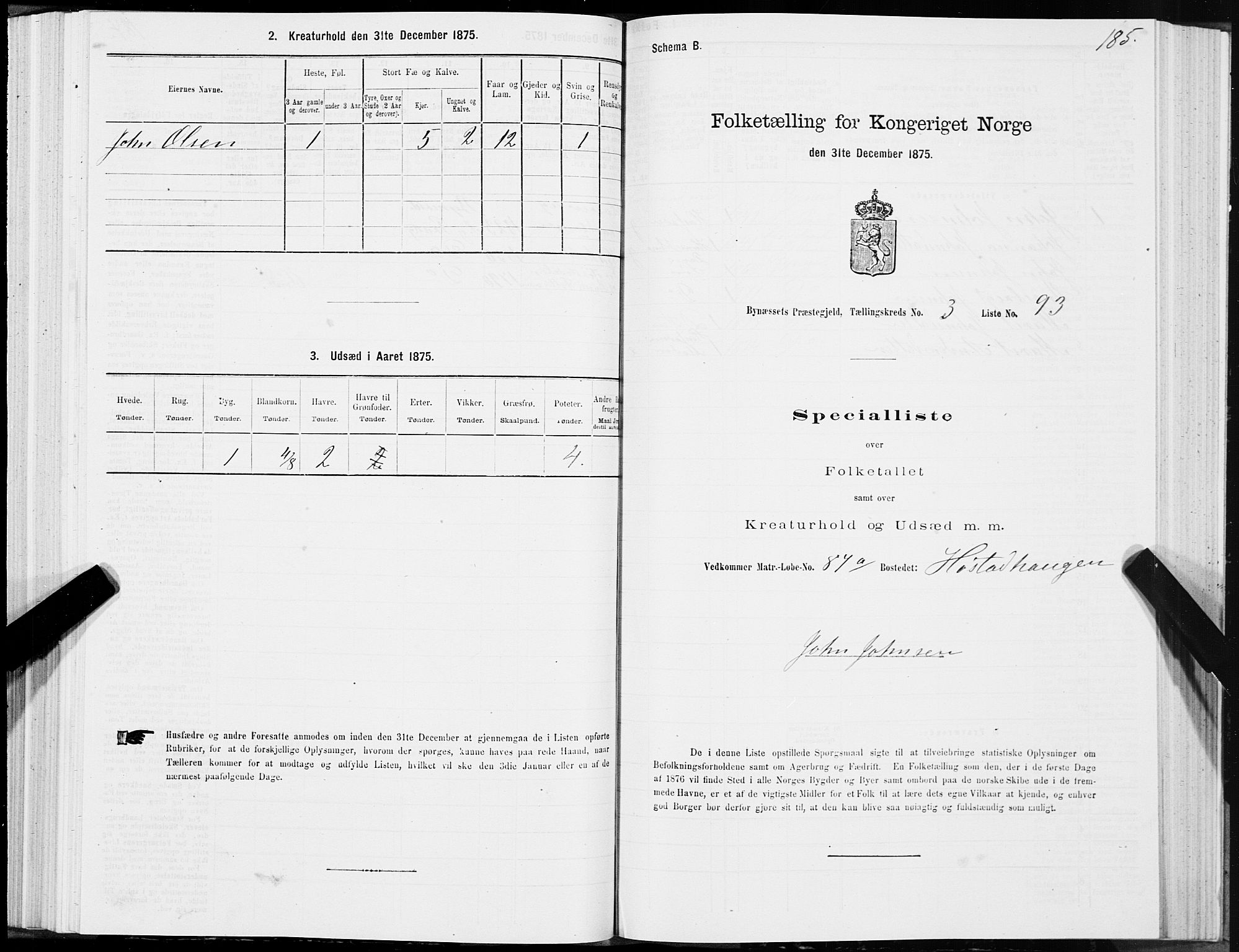 SAT, 1875 census for 1655P Byneset, 1875, p. 2185