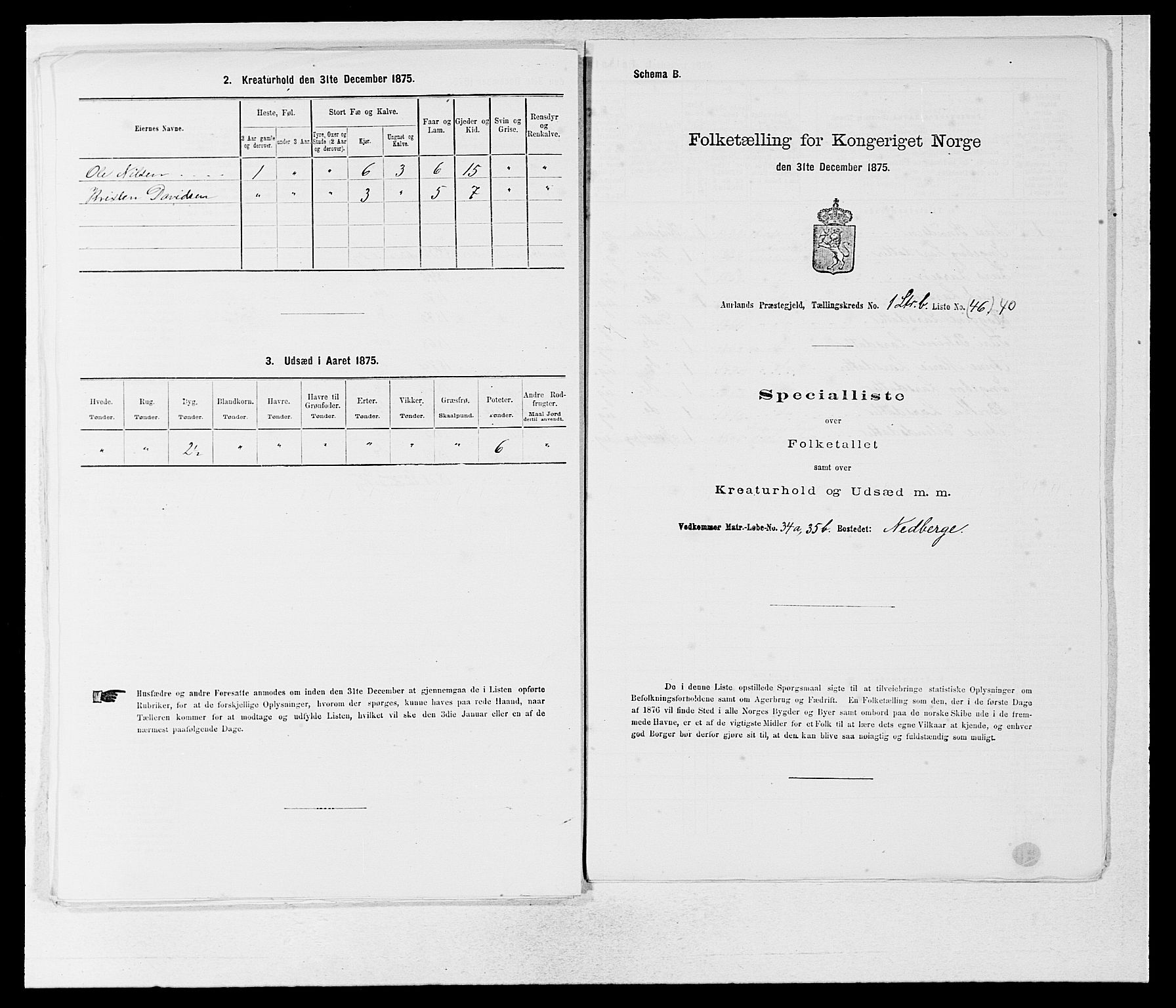 SAB, 1875 census for 1421P Aurland, 1875, p. 109