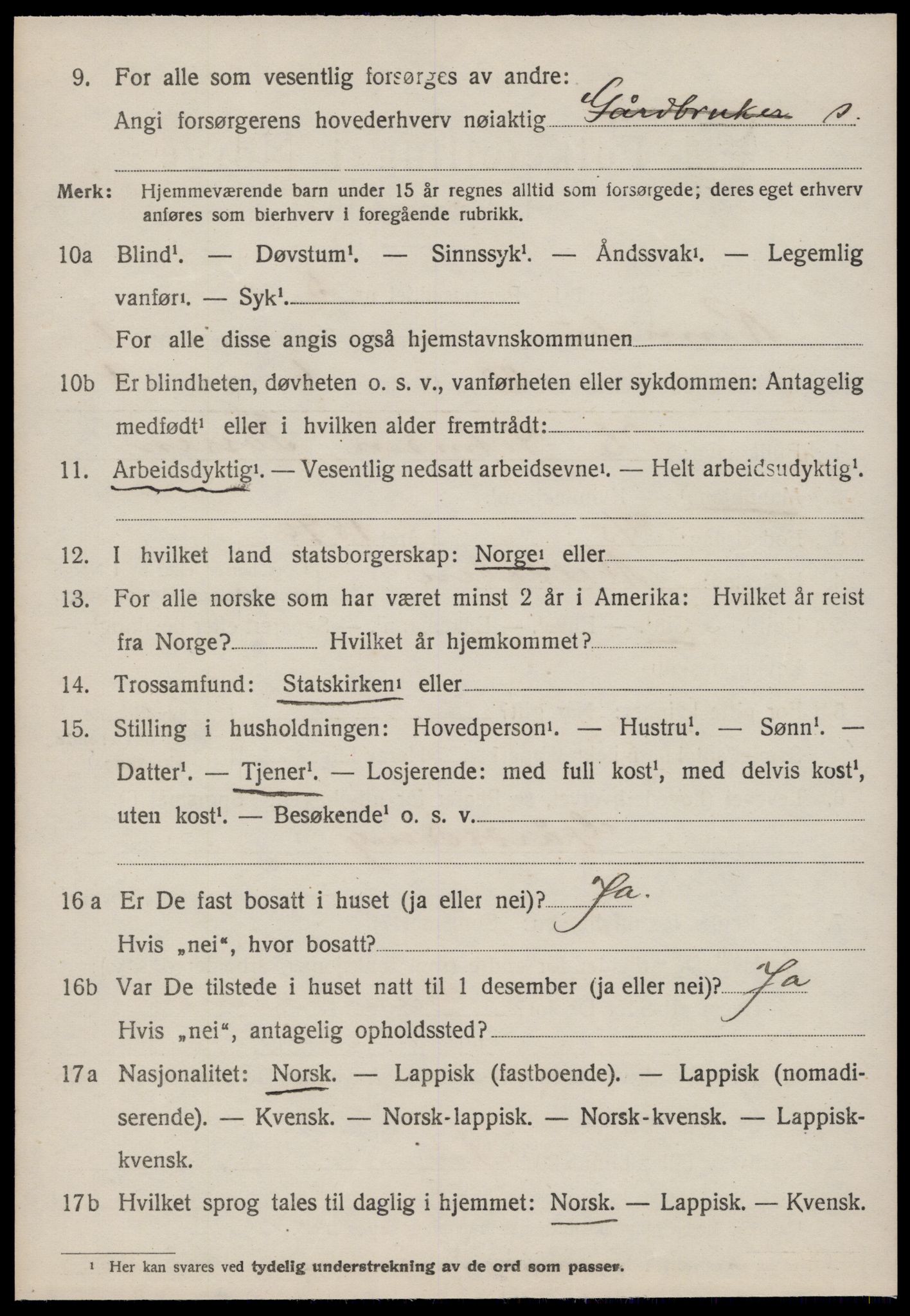 SAT, 1920 census for Rennebu, 1920, p. 1259