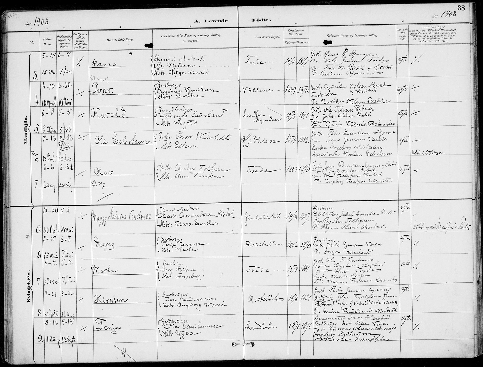 Austre Moland sokneprestkontor, SAK/1111-0001/F/Fa/Faa/L0011: Parish register (official) no. A 11, 1894-1915, p. 38