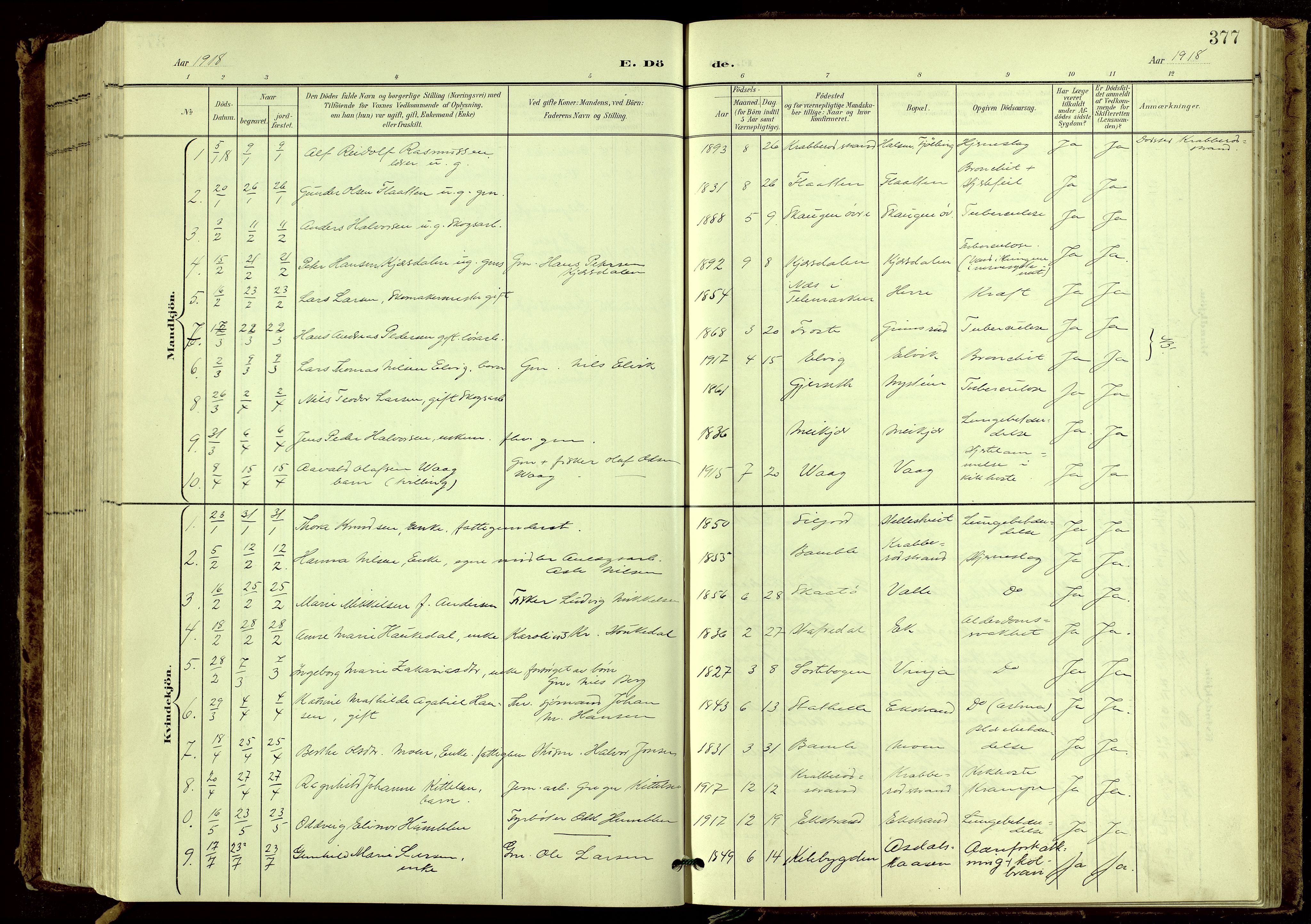 Bamble kirkebøker, SAKO/A-253/G/Ga/L0010: Parish register (copy) no. I 10, 1901-1919, p. 377