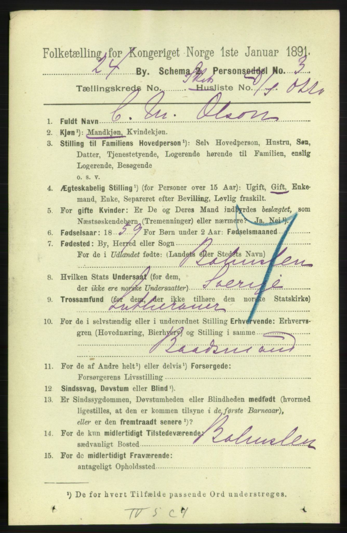 RA, 1891 census for 0707 Larvik, 1891, p. 13948