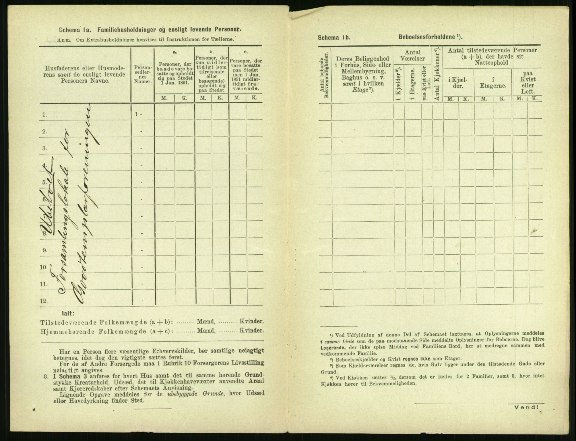 RA, 1891 census for 1702 Steinkjer, 1891, p. 1796