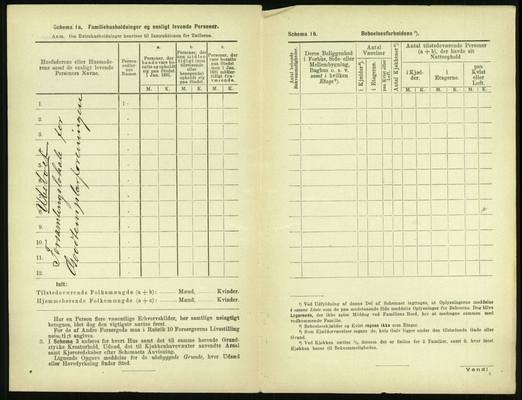 RA, 1891 census for 1702 Steinkjer, 1891, p. 1796