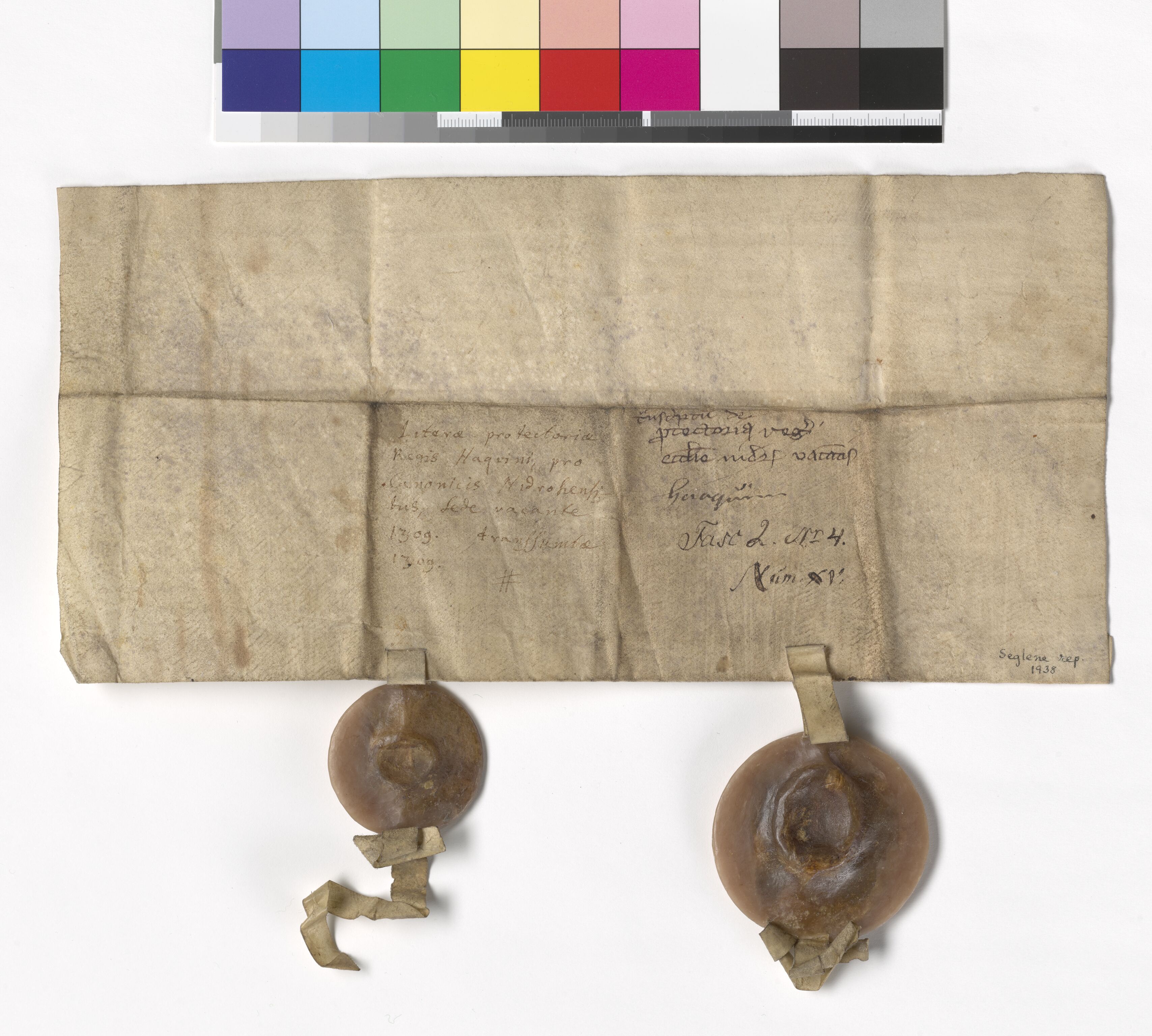 Riksarkivets diplomsamling, AV/RA-EA-5965/F05/L0005: NRA AM fasc. 2 nr. 3-6, 1308-1311, p. 8