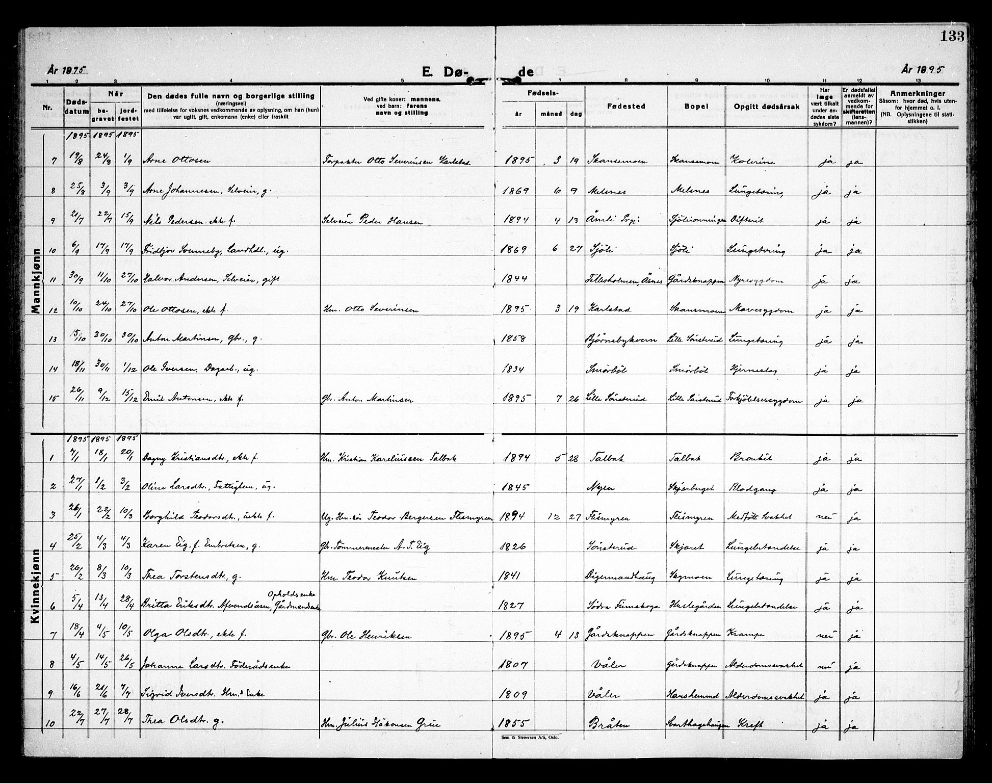 Åsnes prestekontor, AV/SAH-PREST-042/H/Ha/Haa/L0000D: Parish register (official) no. 0B, 1890-1929, p. 133