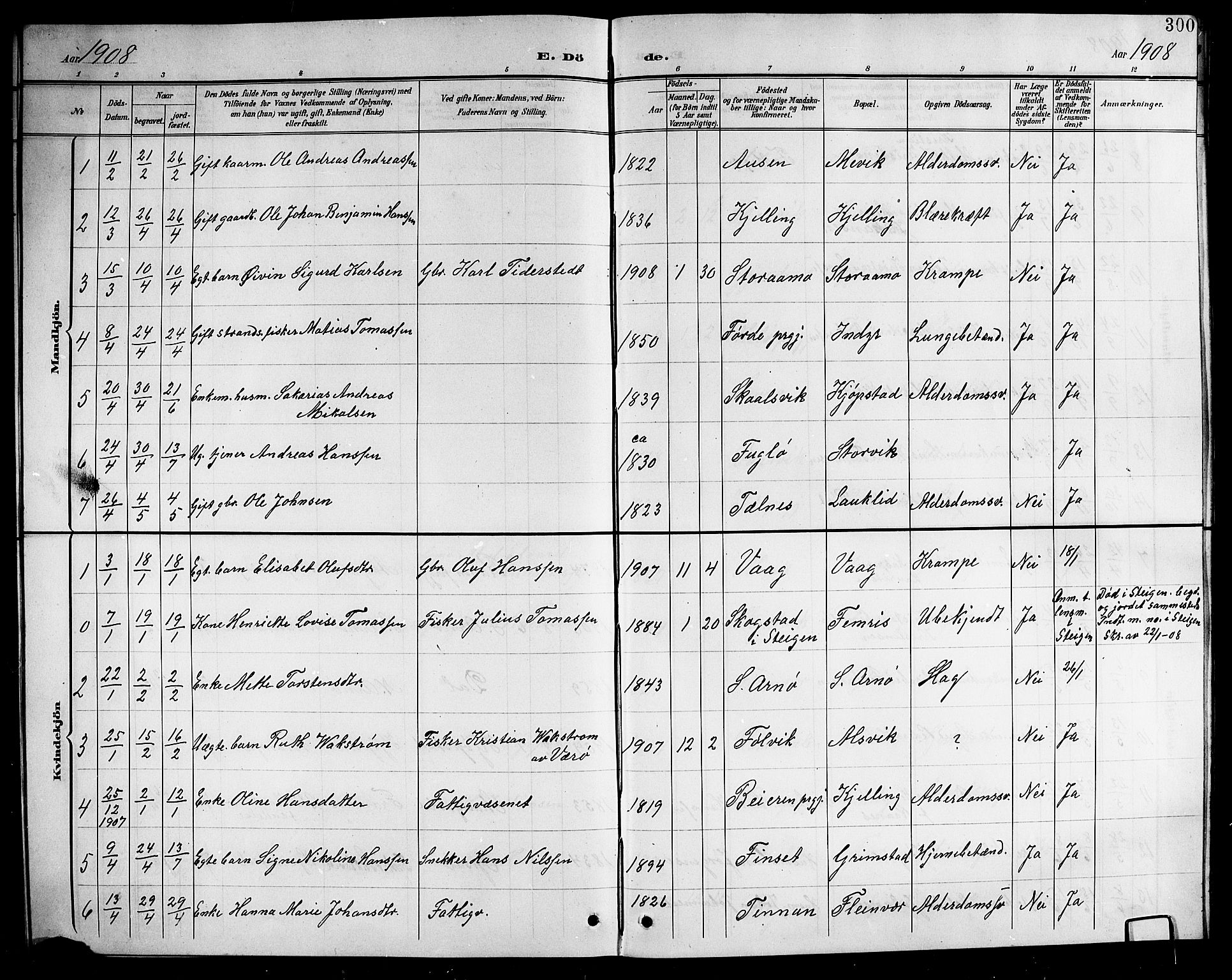 Ministerialprotokoller, klokkerbøker og fødselsregistre - Nordland, AV/SAT-A-1459/805/L0109: Parish register (copy) no. 805C05, 1900-1911, p. 300