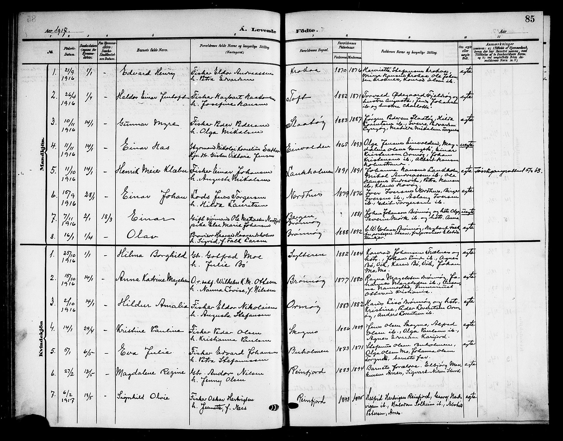 Ministerialprotokoller, klokkerbøker og fødselsregistre - Nordland, AV/SAT-A-1459/813/L0214: Parish register (copy) no. 813C06, 1904-1917, p. 85