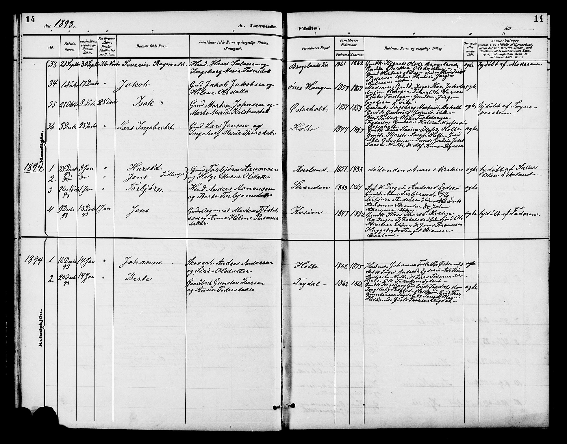 Gjerstad sokneprestkontor, SAK/1111-0014/F/Fb/Fba/L0007: Parish register (copy) no. B 7, 1891-1908, p. 14