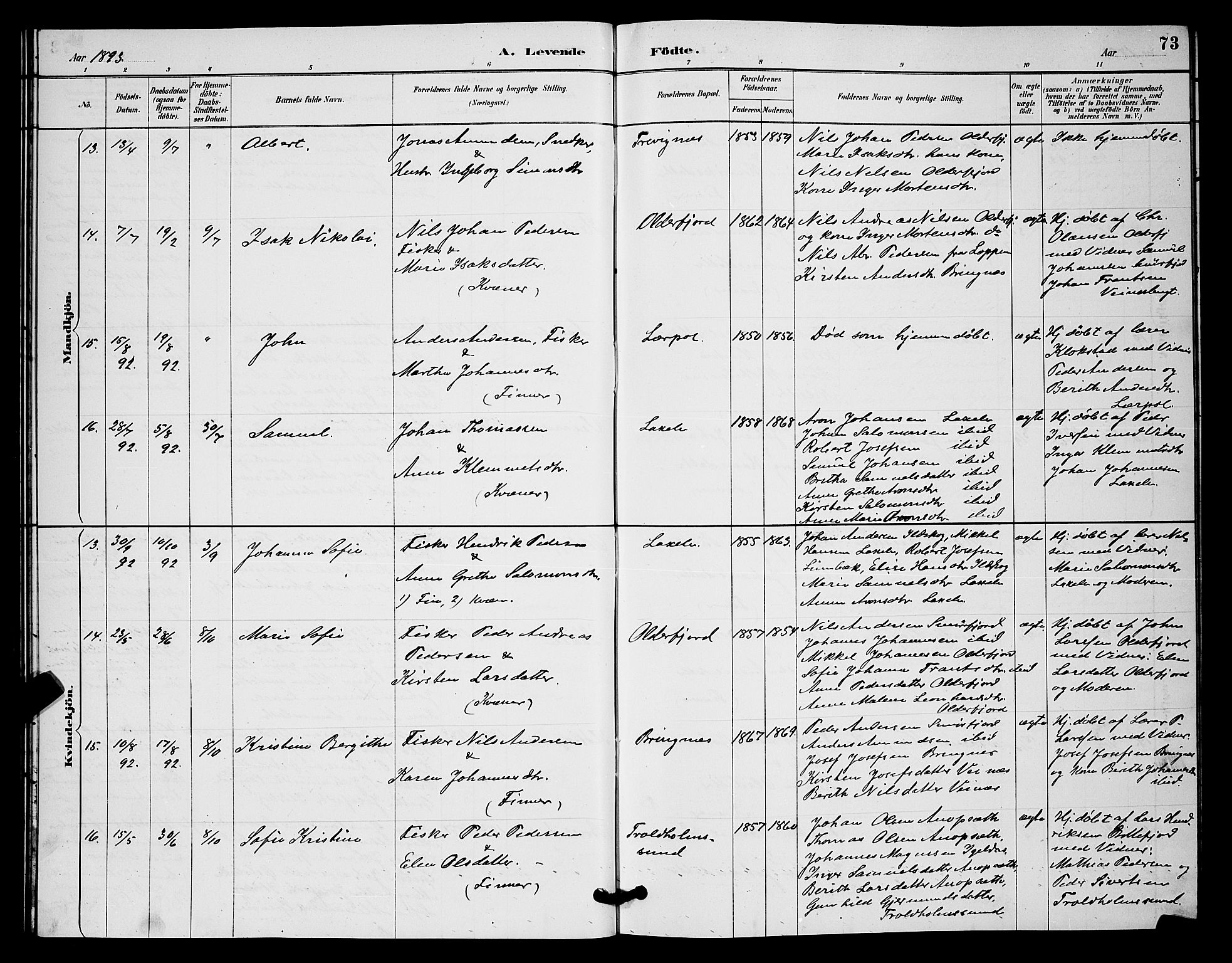 Kistrand/Porsanger sokneprestembete, AV/SATØ-S-1351/H/Hb/L0004.klokk: Parish register (copy) no. 4, 1885-1894, p. 73