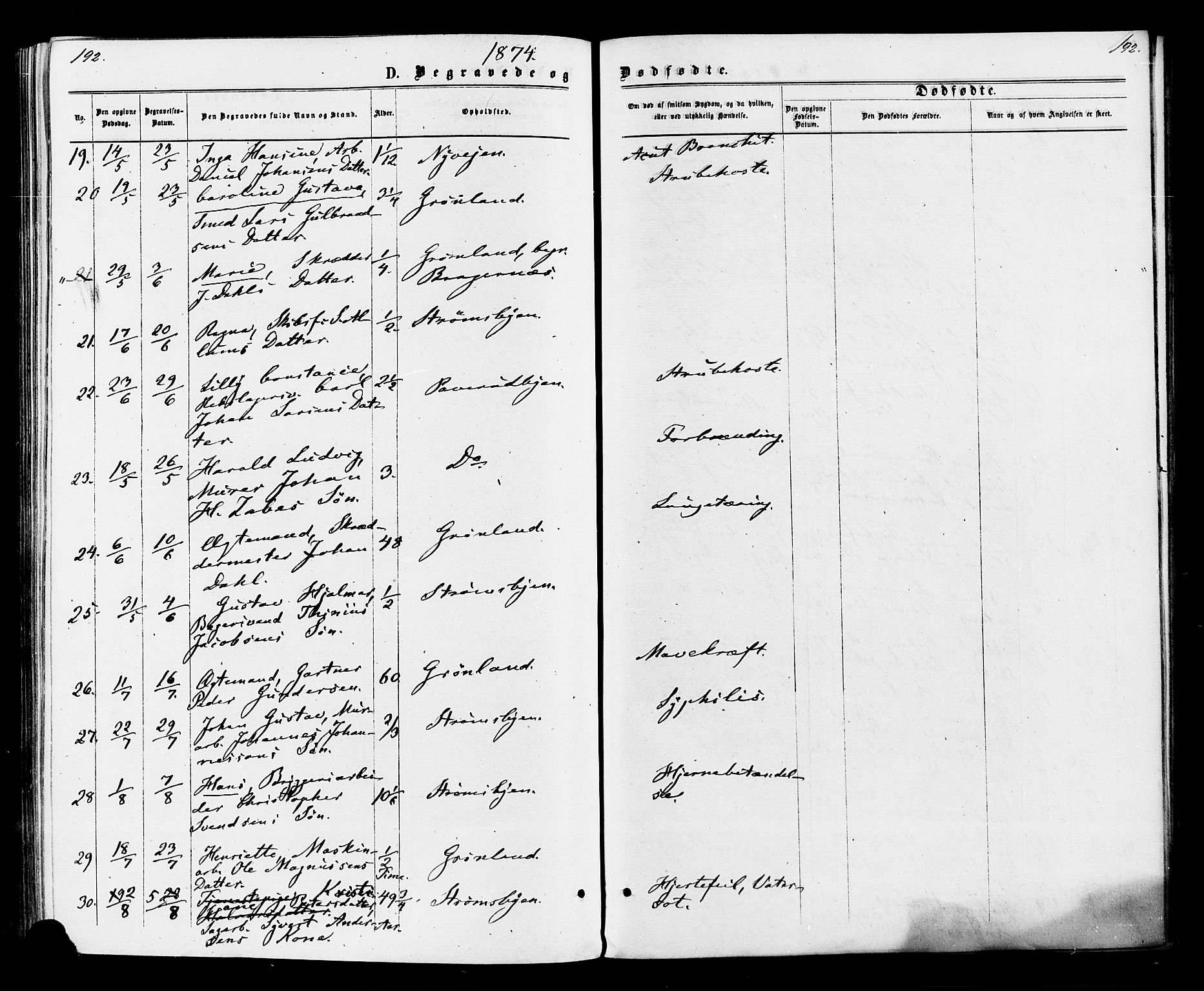 Strømsø kirkebøker, AV/SAKO-A-246/F/Fa/L0020: Parish register (official) no. I 20, 1870-1878, p. 192