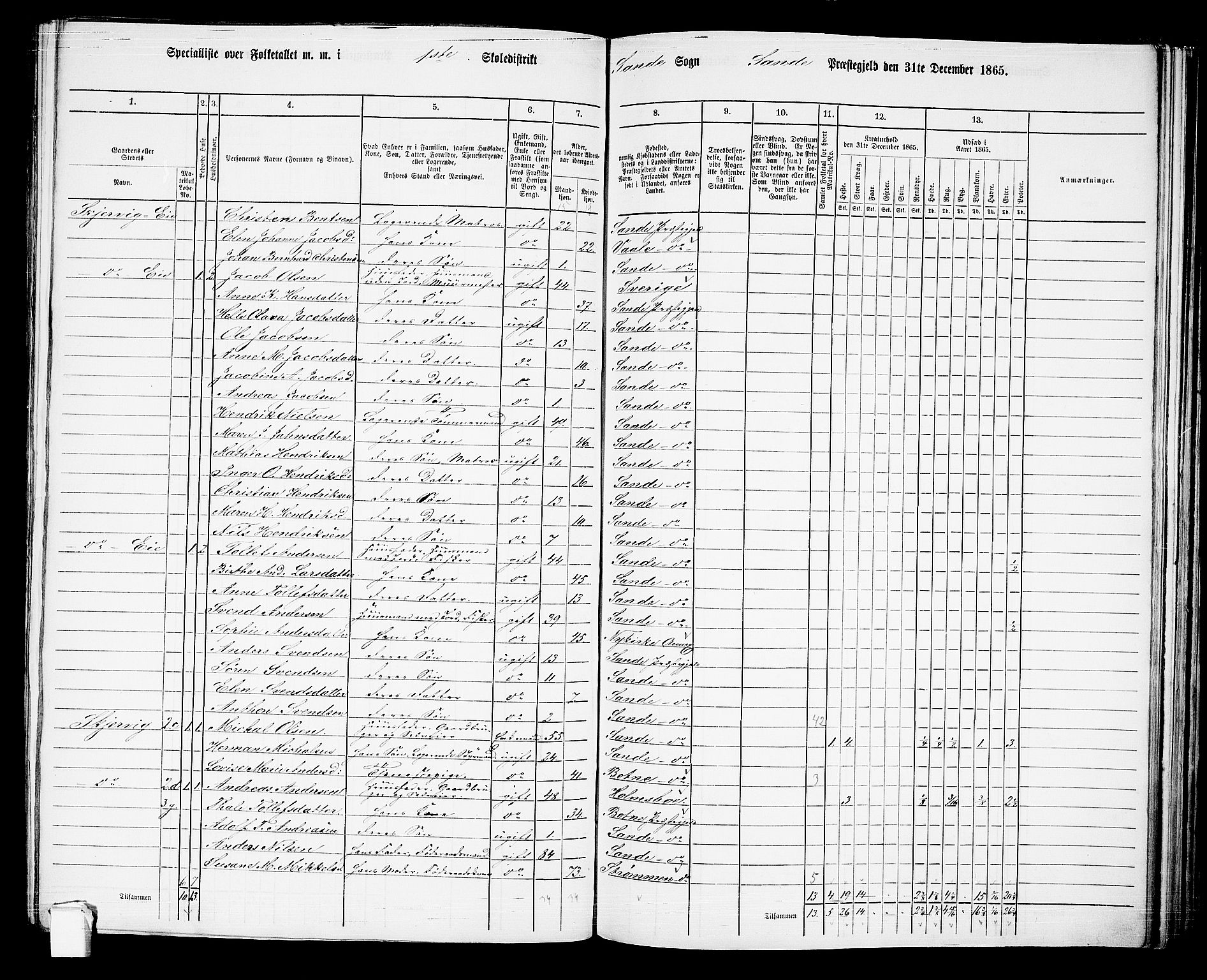 RA, 1865 census for Sande, 1865, p. 10