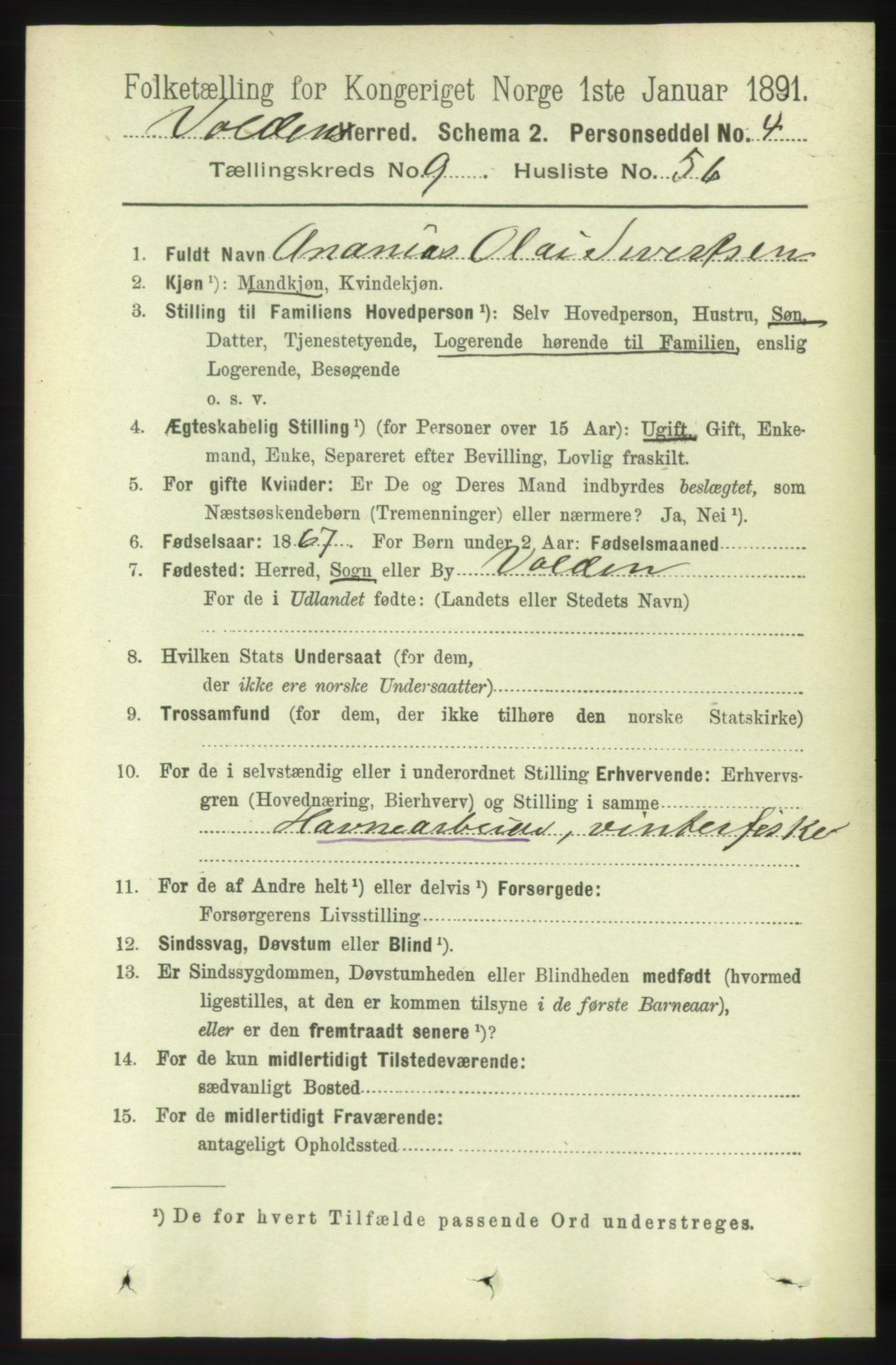 RA, 1891 census for 1519 Volda, 1891, p. 4626