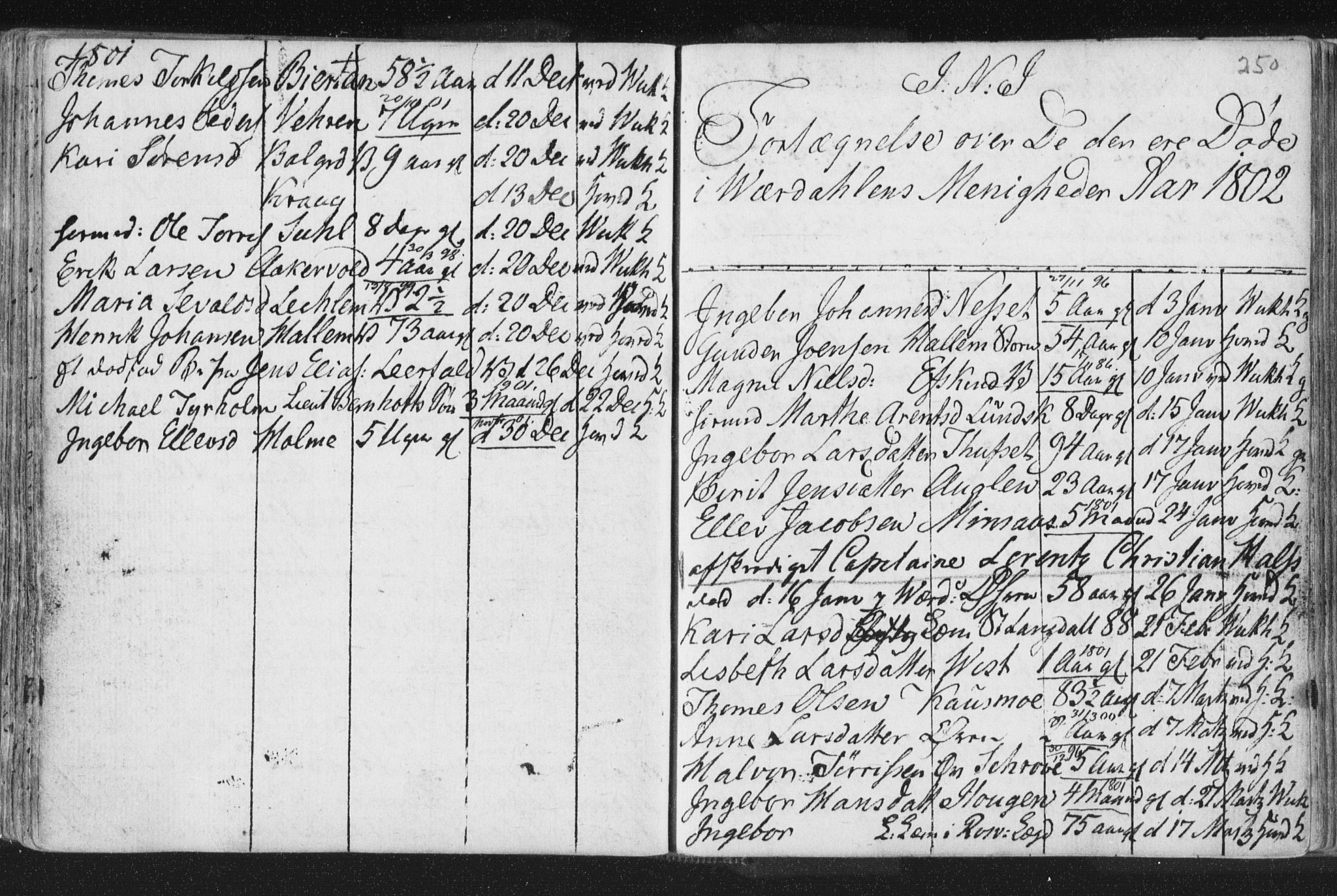 Ministerialprotokoller, klokkerbøker og fødselsregistre - Nord-Trøndelag, SAT/A-1458/723/L0232: Parish register (official) no. 723A03, 1781-1804, p. 250