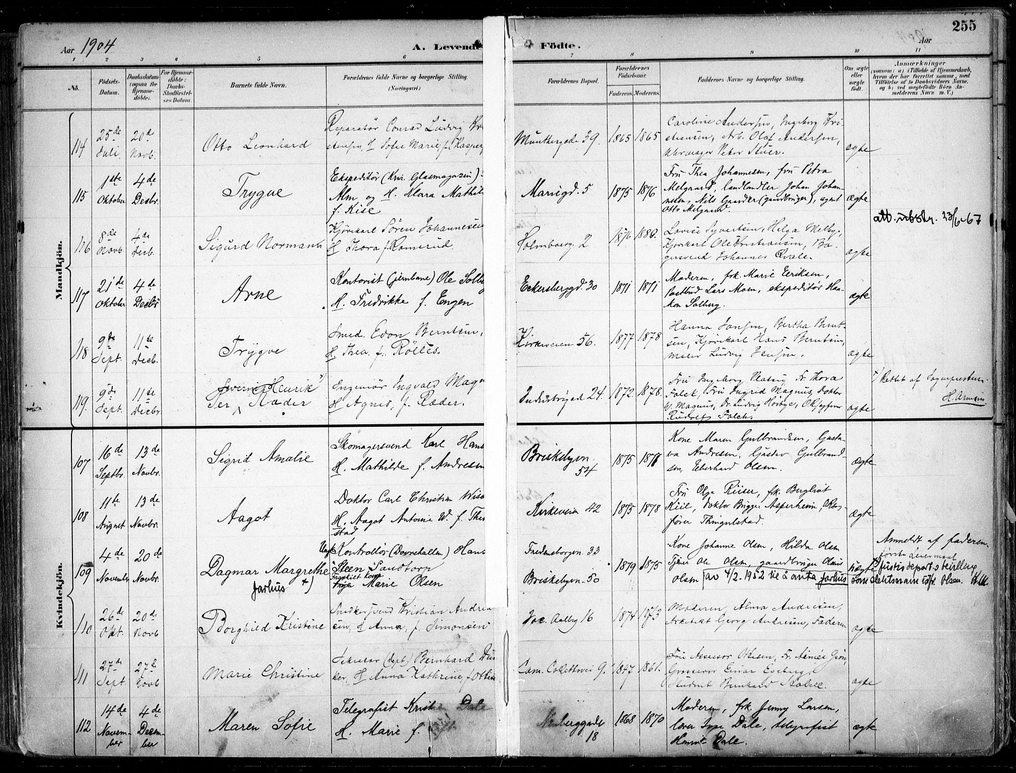 Uranienborg prestekontor Kirkebøker, AV/SAO-A-10877/F/Fa/L0005: Parish register (official) no. 5, 1895-1907, p. 255