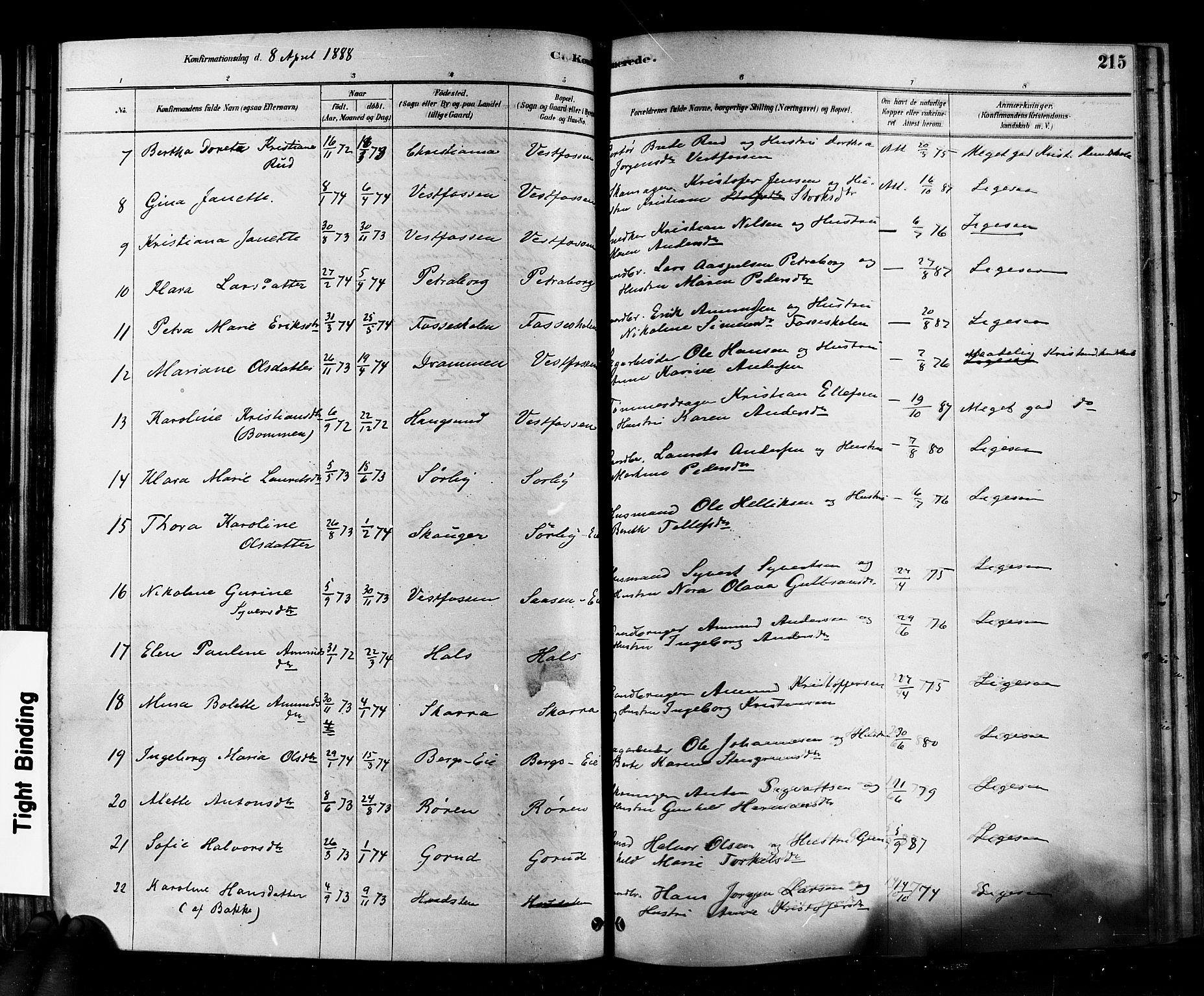 Eiker kirkebøker, AV/SAKO-A-4/F/Fb/L0001: Parish register (official) no. II 1, 1878-1888, p. 215