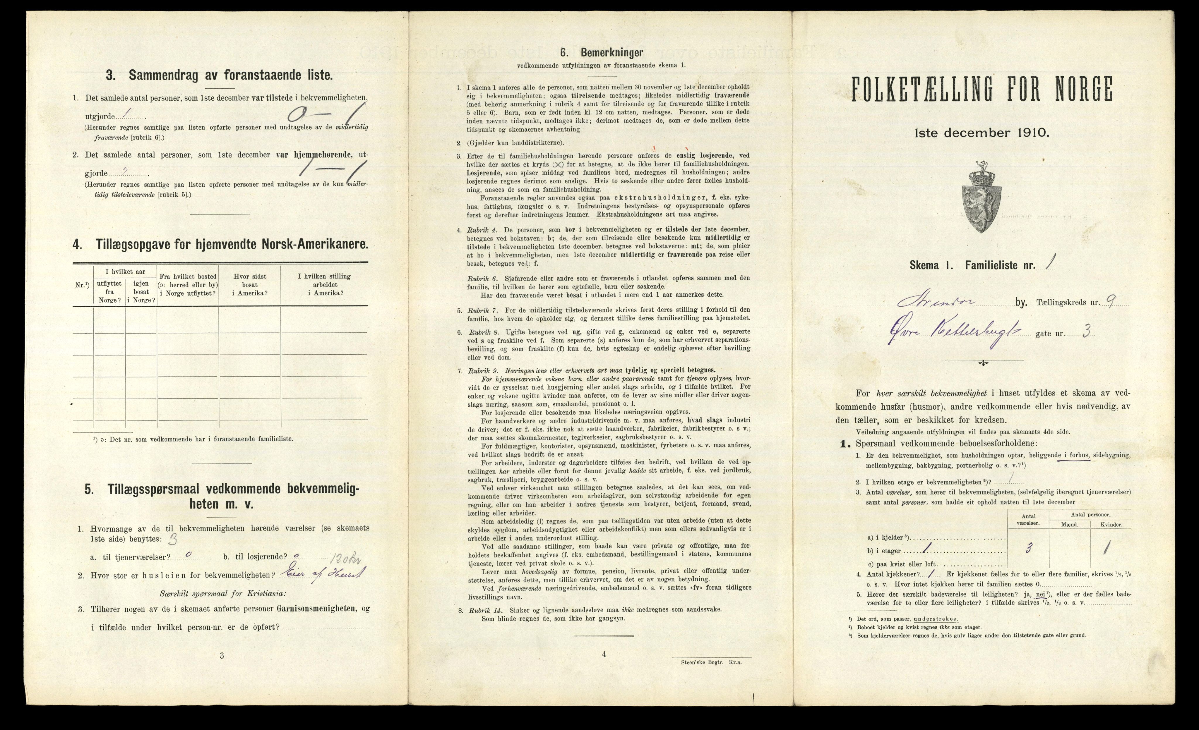 RA, 1910 census for Arendal, 1910, p. 2919