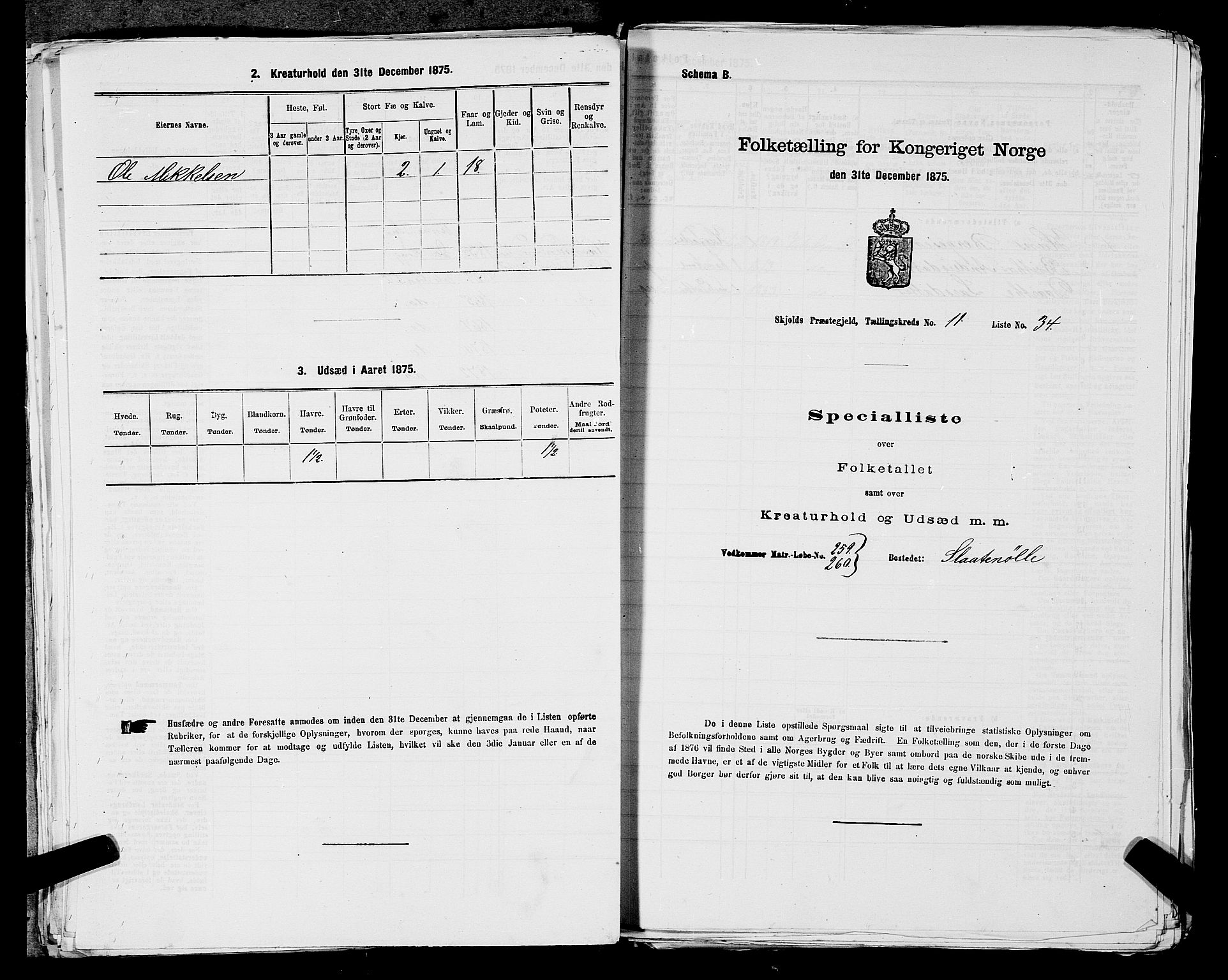 SAST, 1875 census for 1154P Skjold, 1875, p. 1173